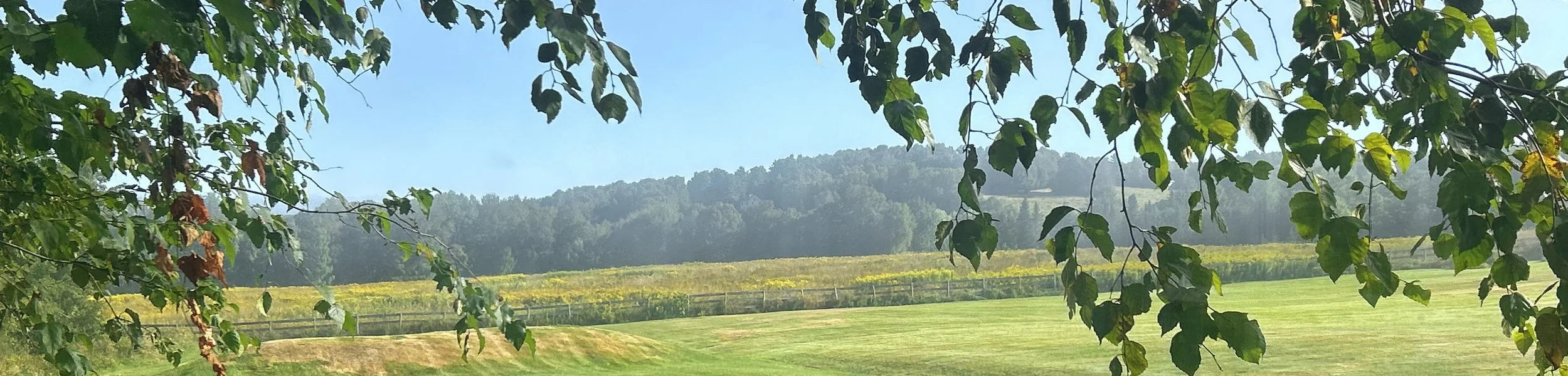 A scenic view of a grassy field with a fence, surrounded by trees and hills in the distance under a clear blue sky.