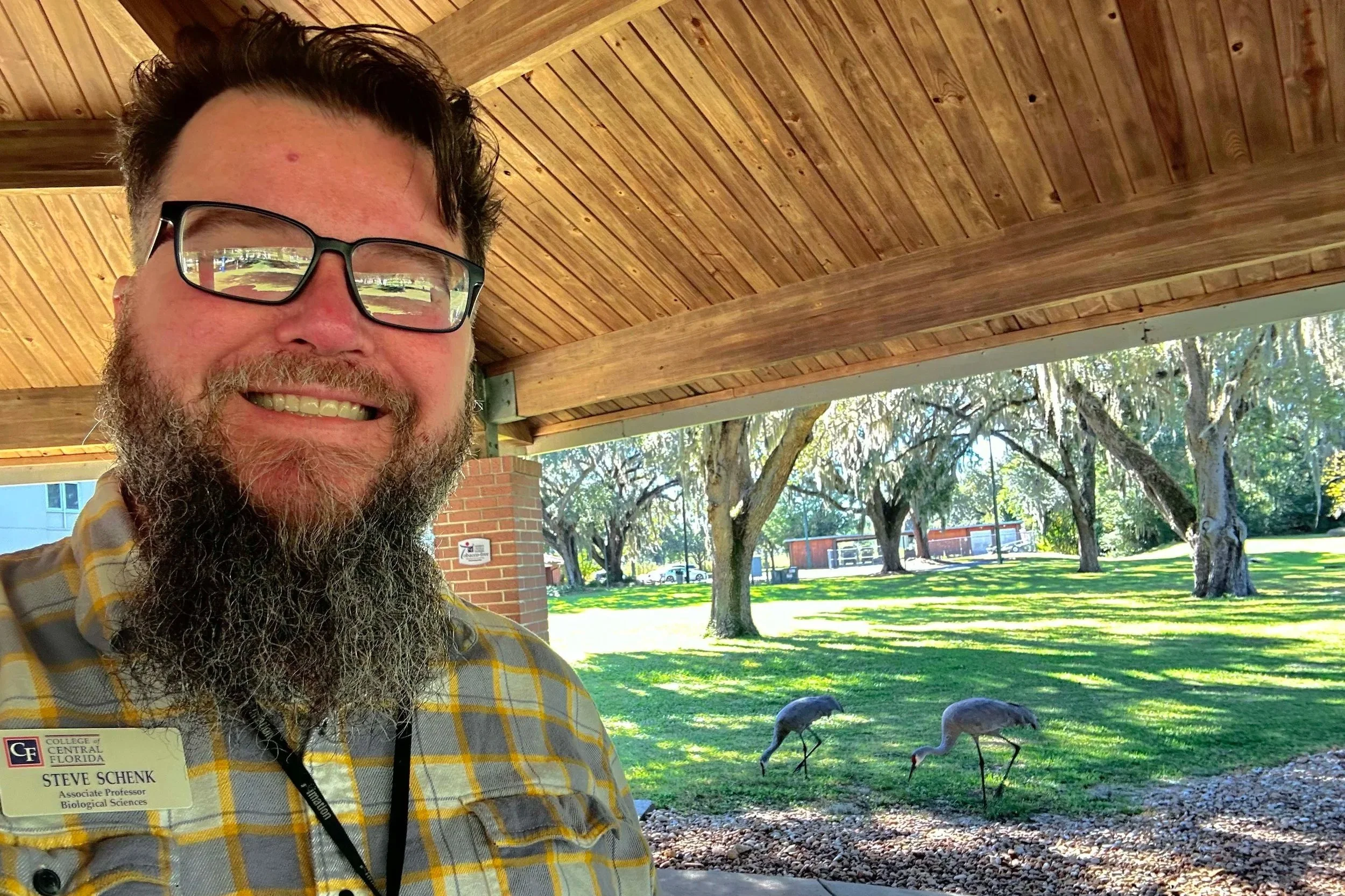A bearded man with glasses standing in front of two large birds.