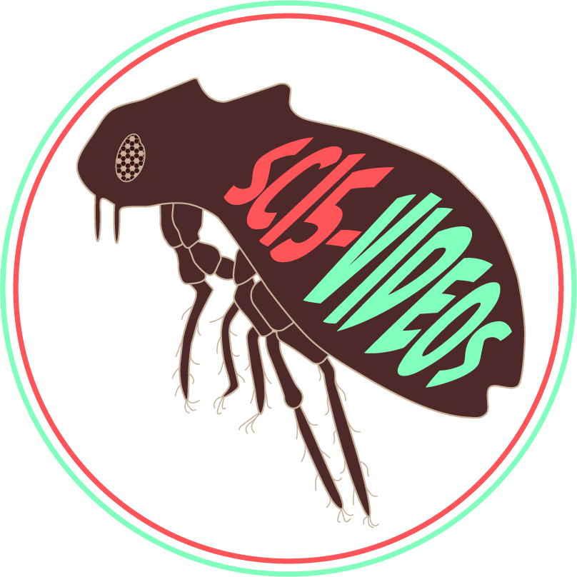A logo with a brown flea with the words Sci5-Videos written across its body.
