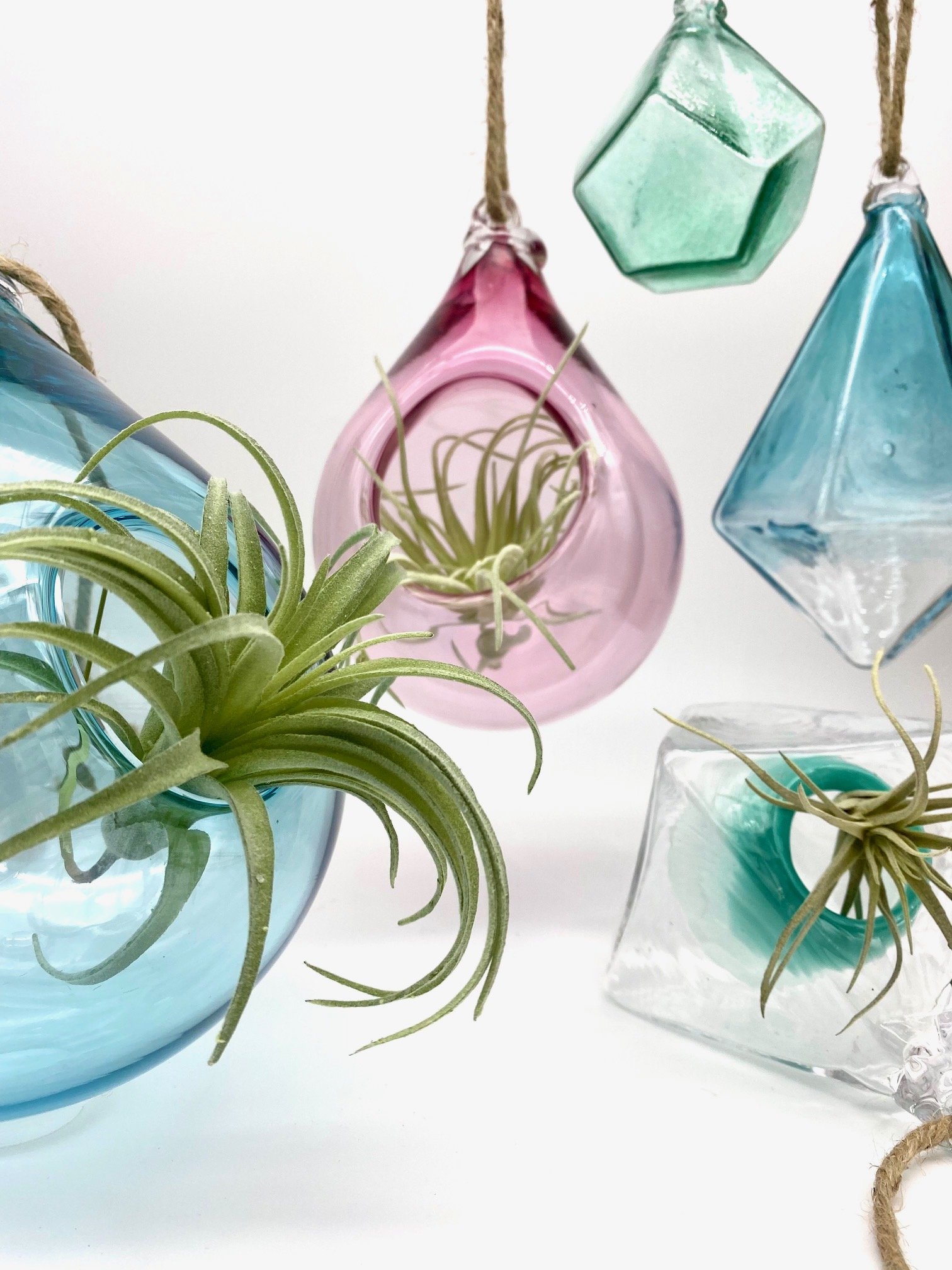 Colorful glass hanging decorations in pastel green, pink, and blue, with some featuring air plants inside. The decorations are suspended by twine and placed against a plain white background.