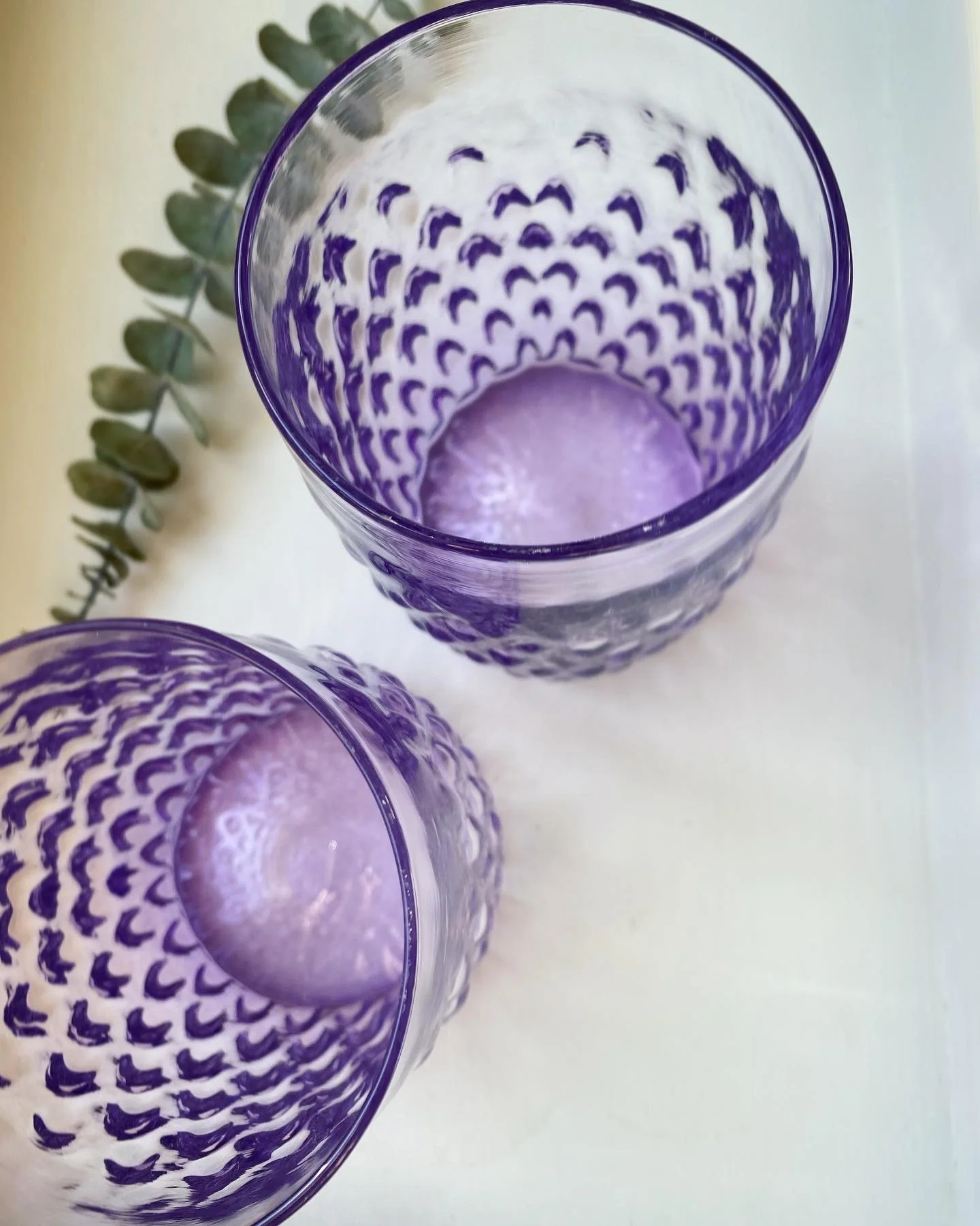 Two purple Gem cups placed on a light-colored surface, with a sprig of green leaves in the background.