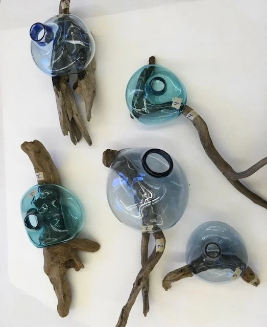 Five glass bloen glass pieces on driftwood, displayed against a white background.