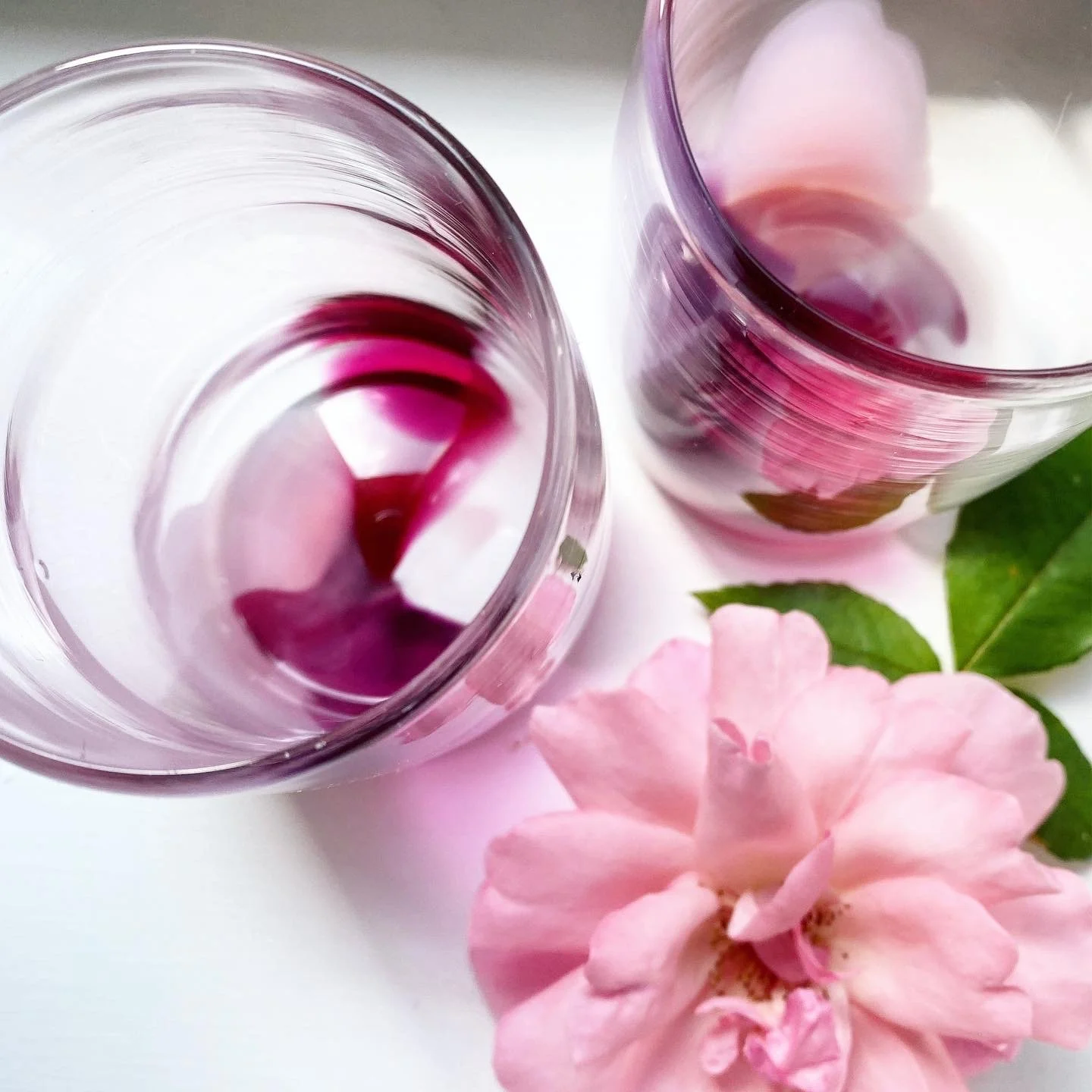 Two pink Colour POP cups, pink flower, and green leaves on a white surface.