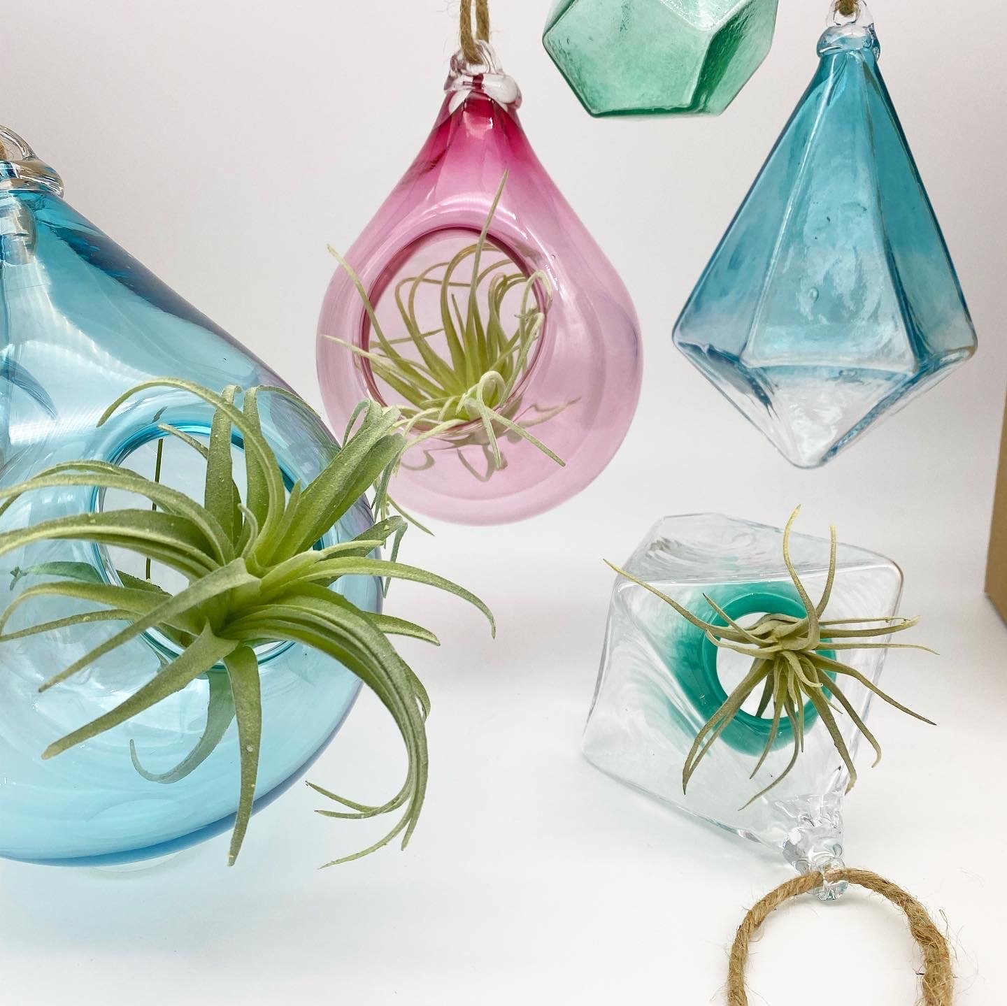 Colorful terrarium glass planters and air plants on a white surface, with some hanging glass decor.