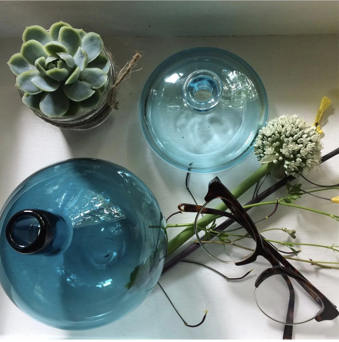 Top-down view of a white surface with a succulent plant in a small jar, two blue glass vases, a white flower, and a pair of brown eyeglasses.