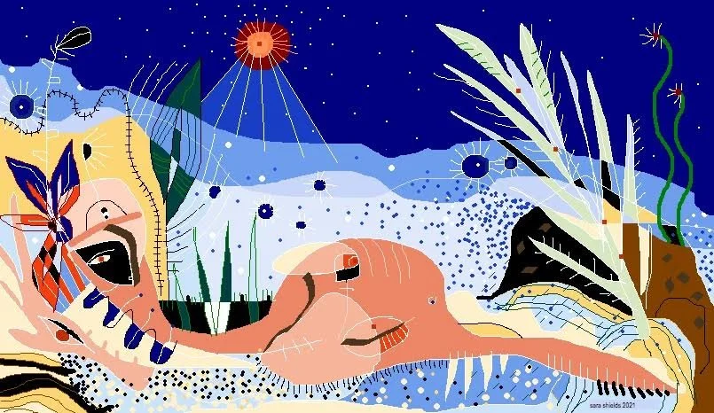 Abstract illustration of a natural landscape with plants, water, a volcano, and a night sky with stars and a red sun.