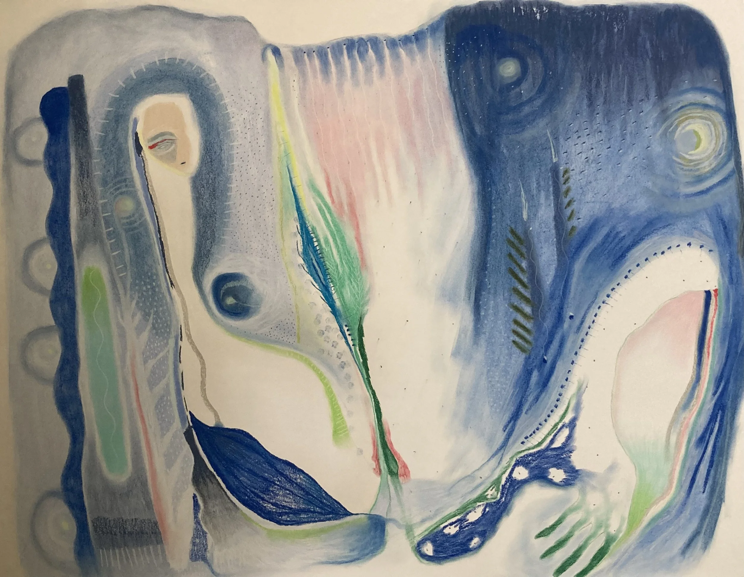 dream in light, dream in dark, chalk pastel on paper, 48 x 40"