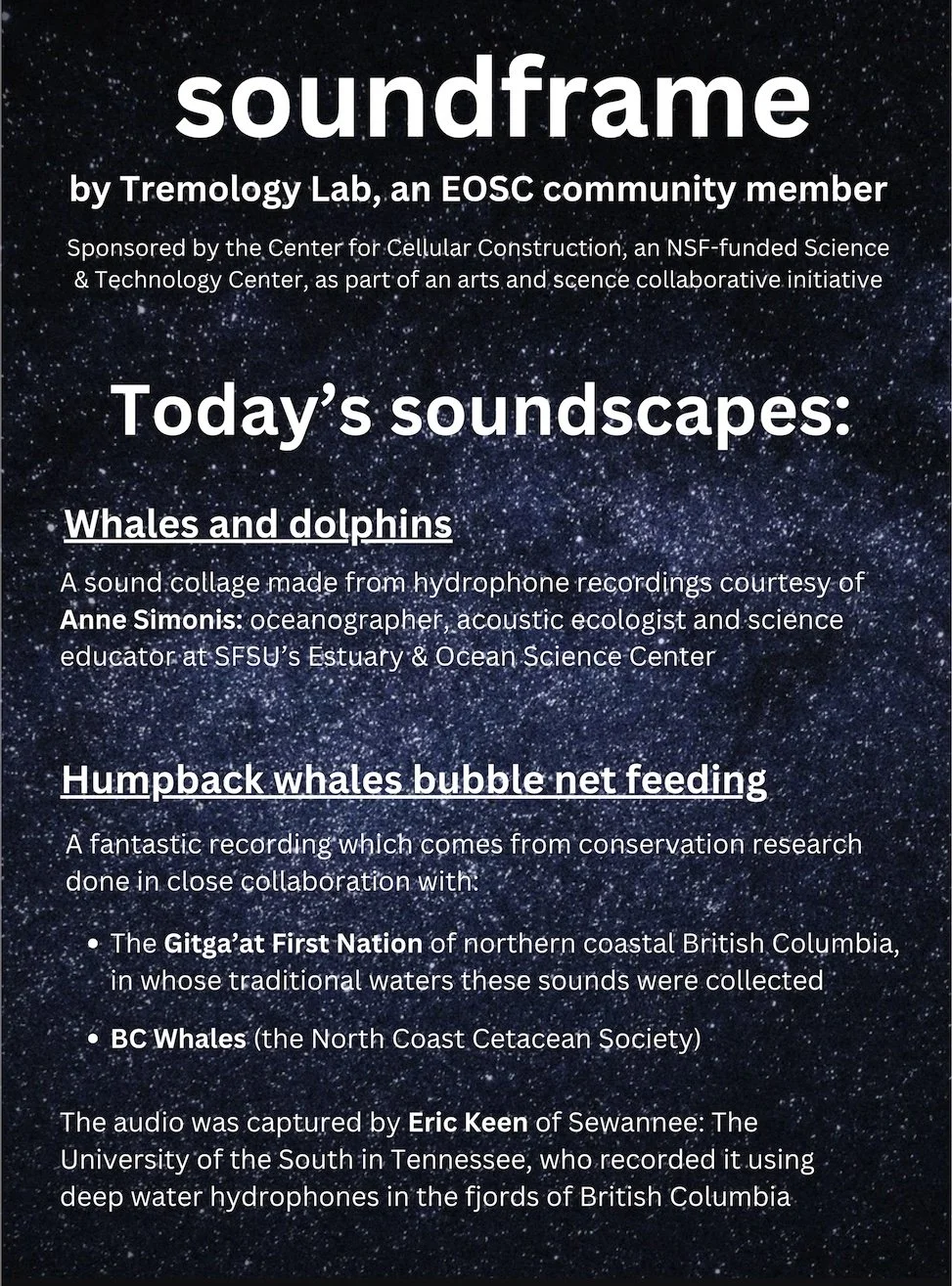 flyer grab no border crop.jpg