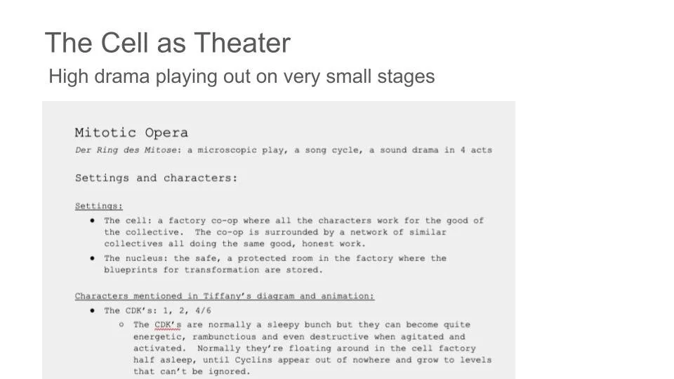 Cell as Theater slide.jpg