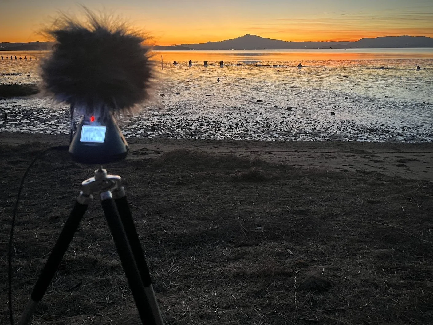 zoomHR sunset 1 level cc.jpg