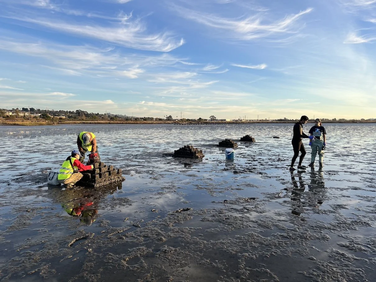 working mid spread 2-2.jpg