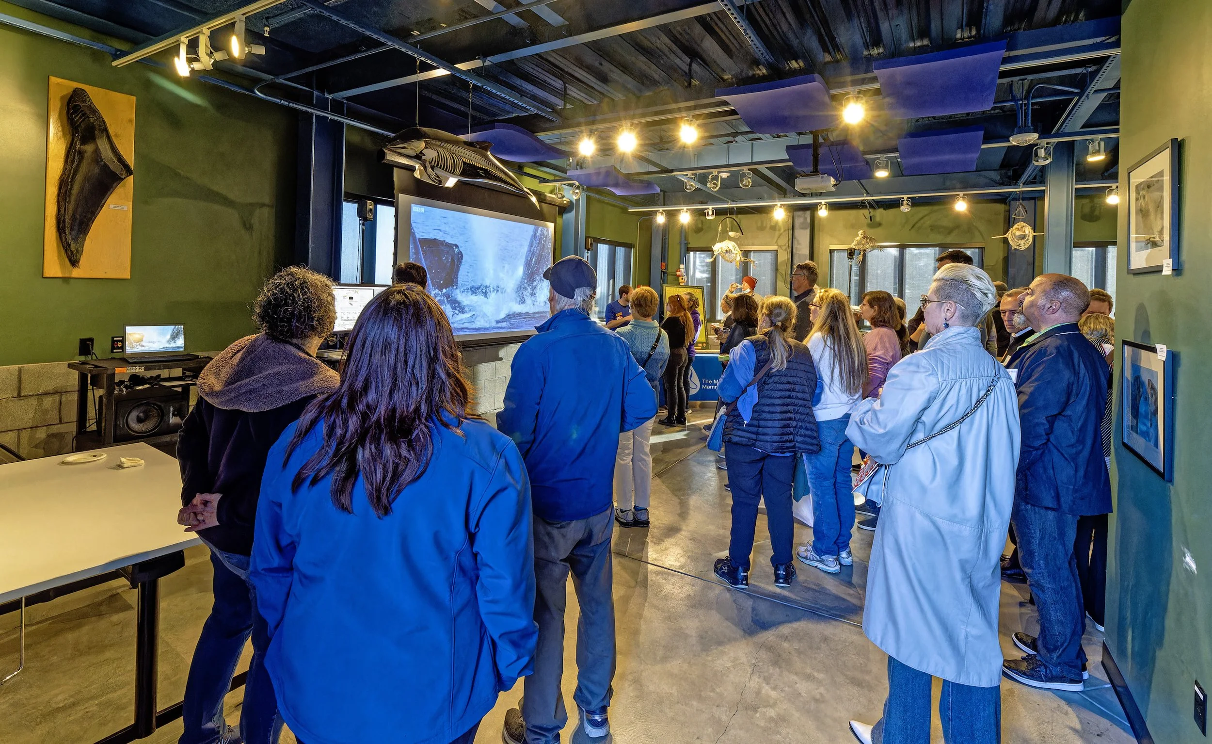 Marine Mammal Center 1.jpg