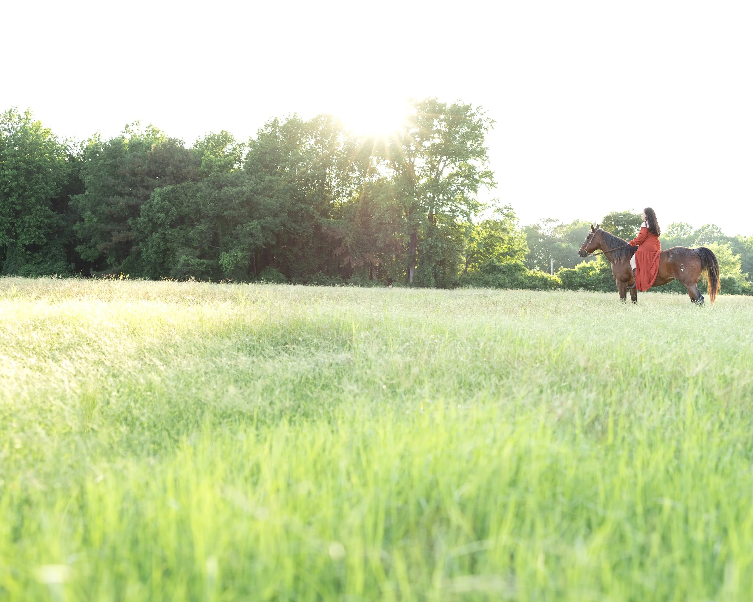 Megan Rose Photography-3301.jpg