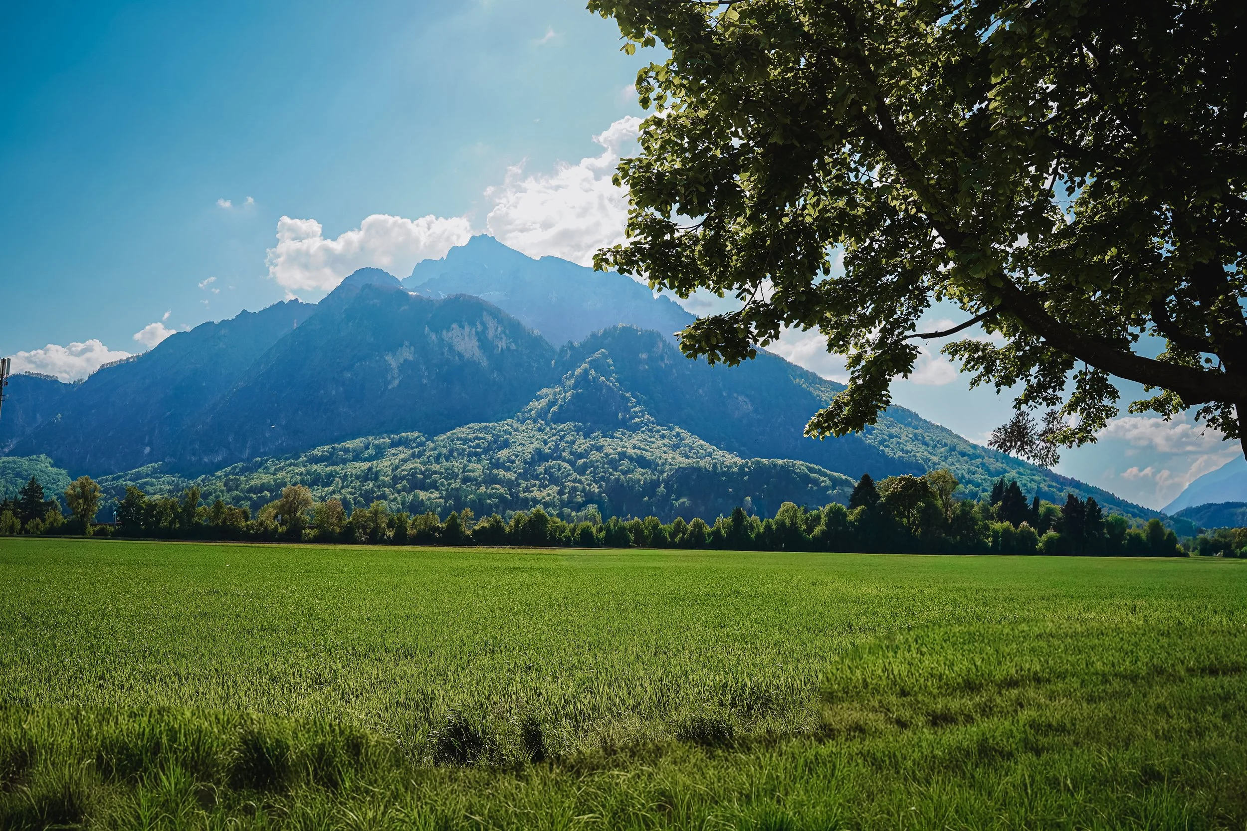 Grünes Feld vor einer Bergkette, mit einigen Bäumen im Vordergrund und Wolken am Himmel