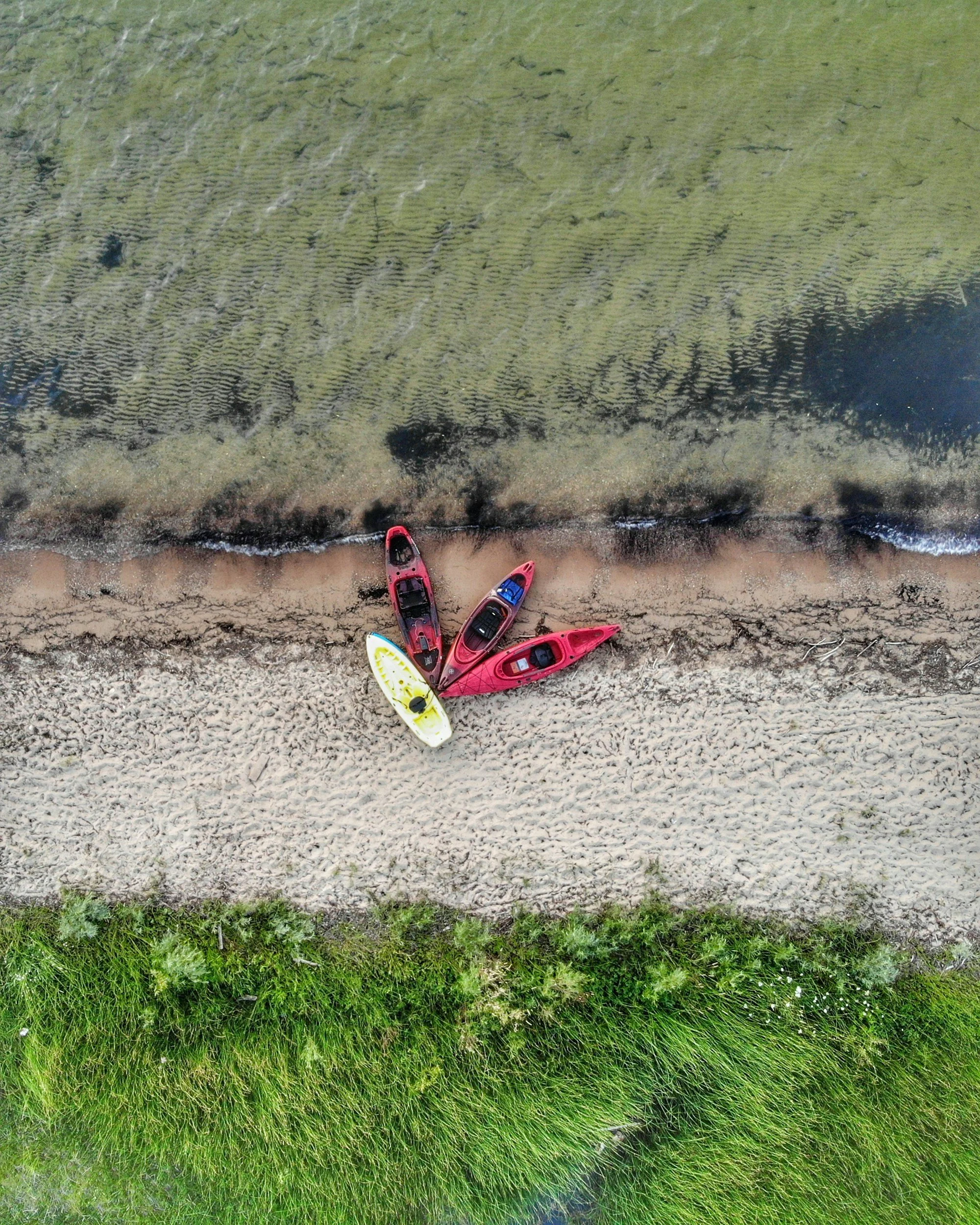 Kayaks pulled up on a sandy shore, seen from above