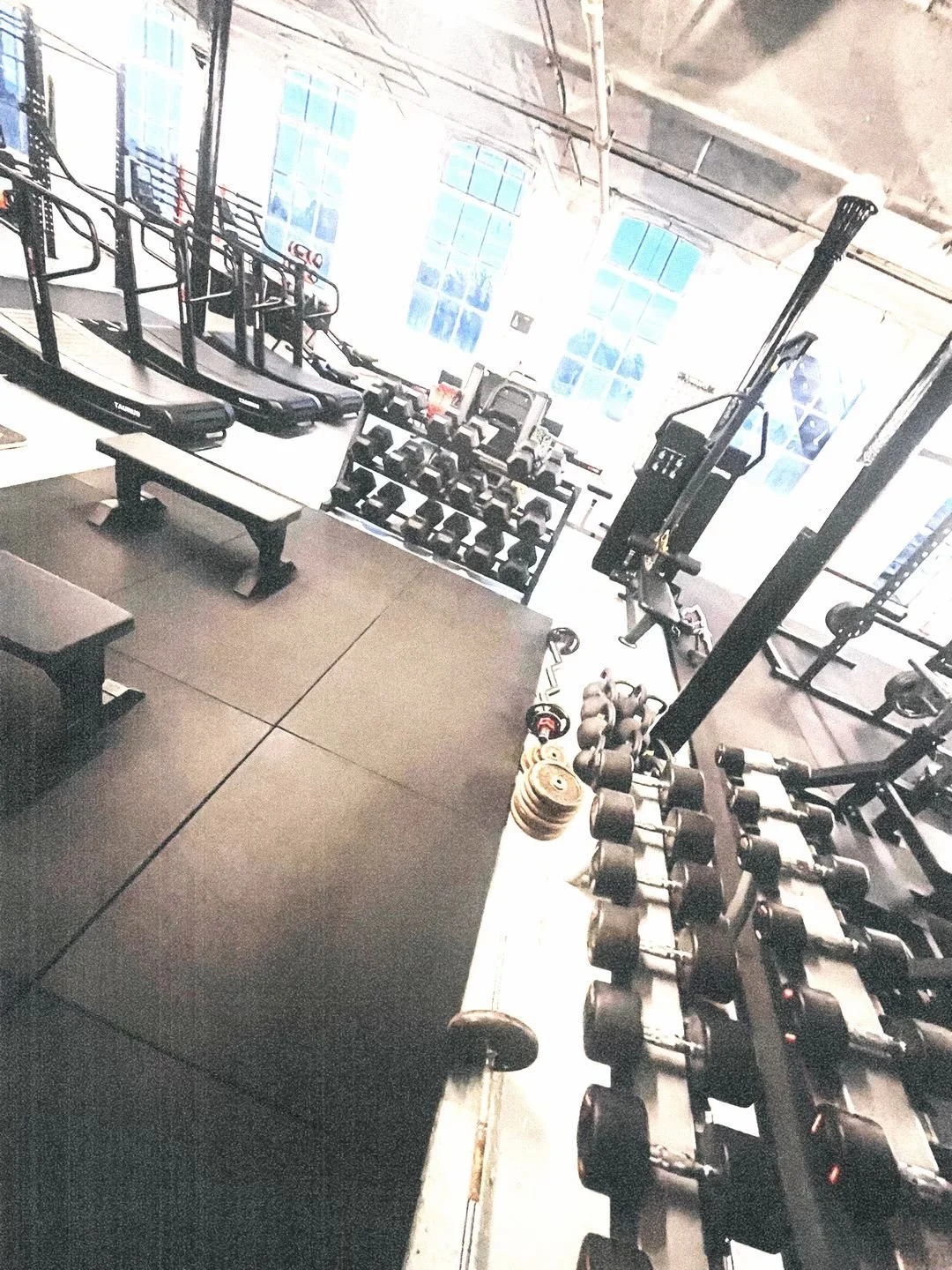 Interior of a gym with various workout equipment including dumbbells, weight benches, and cardio machines.