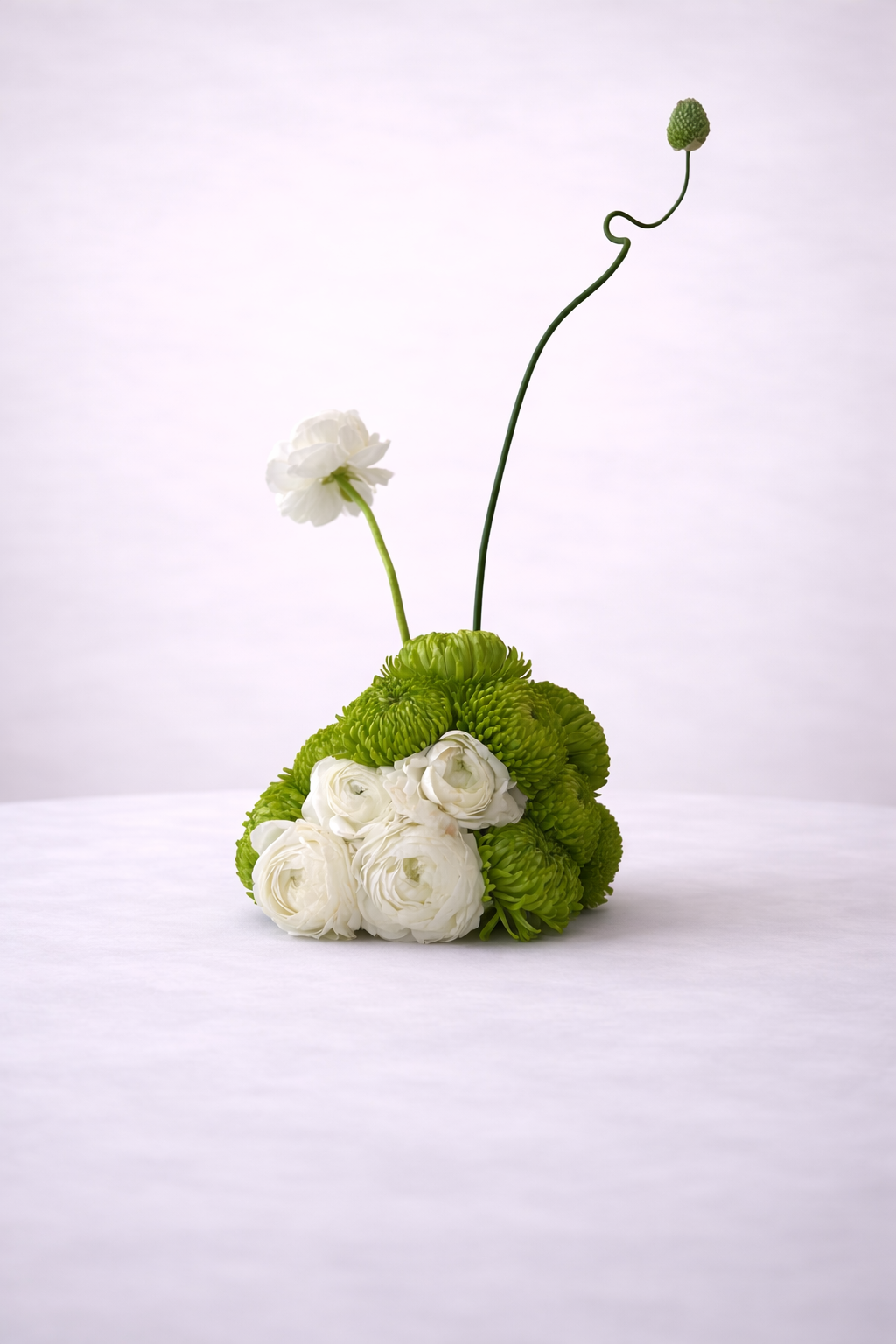 White Ranunculus & Allium Sculpture