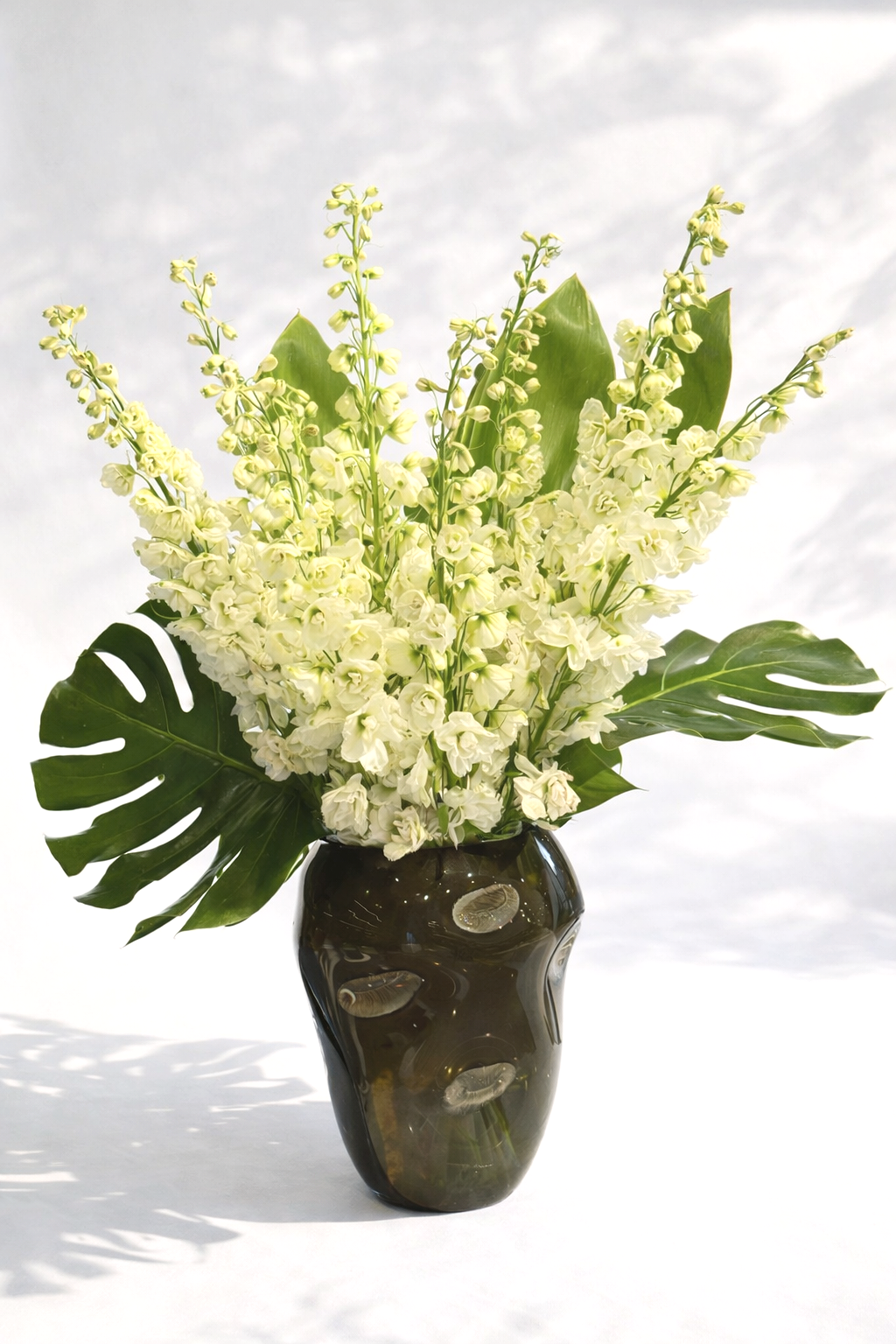 Tropical Delphinium Ivory