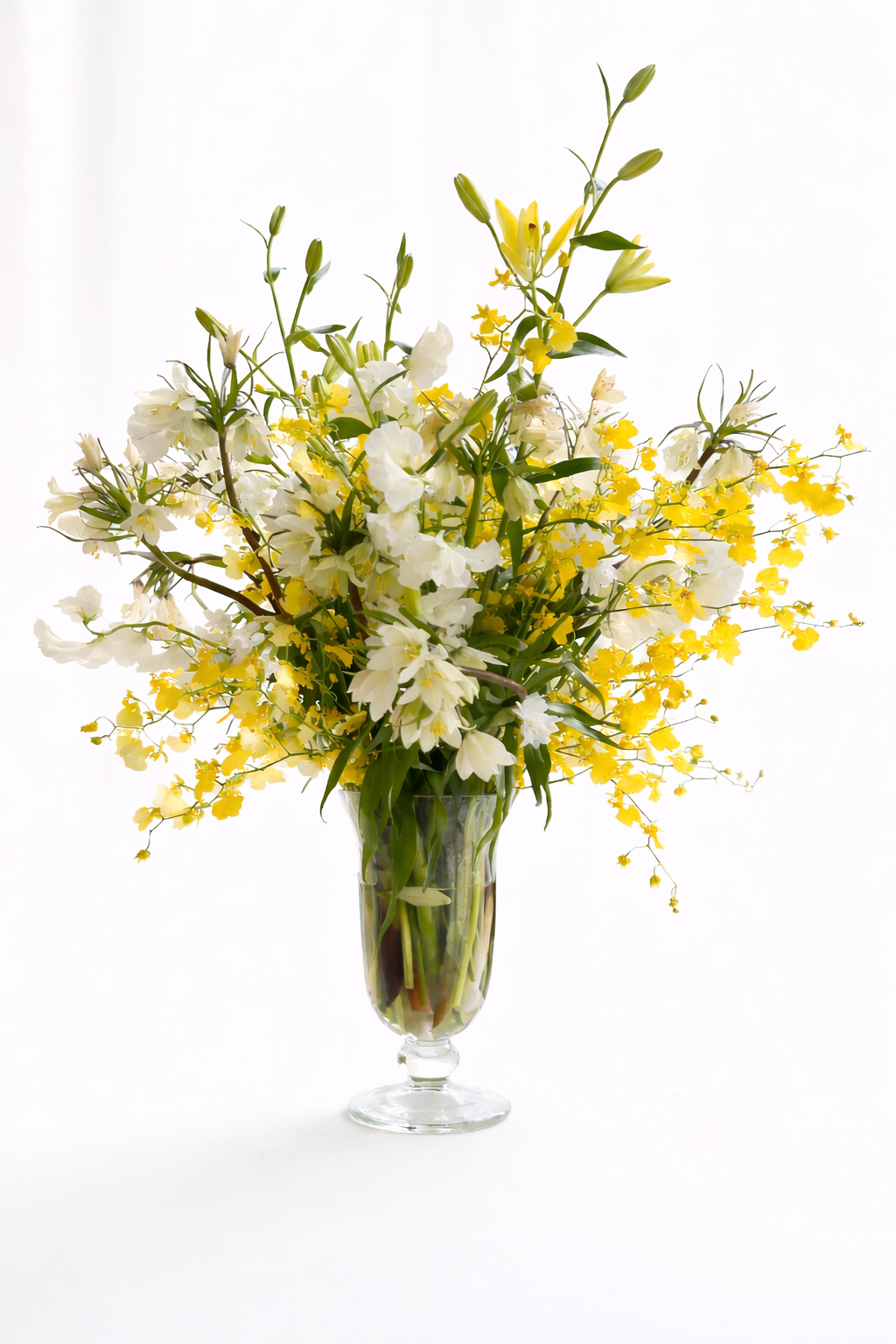 23639F23-7922-4C1F-A51B-1B502B6FF53F 2.PNG