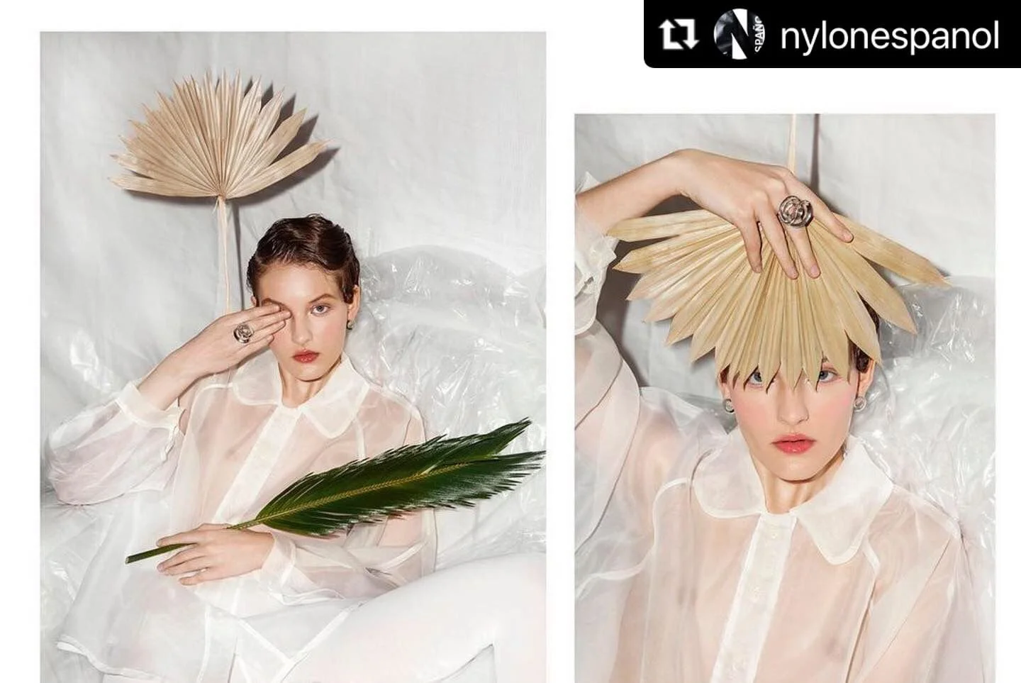 WhatsApp Image 2026-01-09 at 18.34.26 (3).jpeg