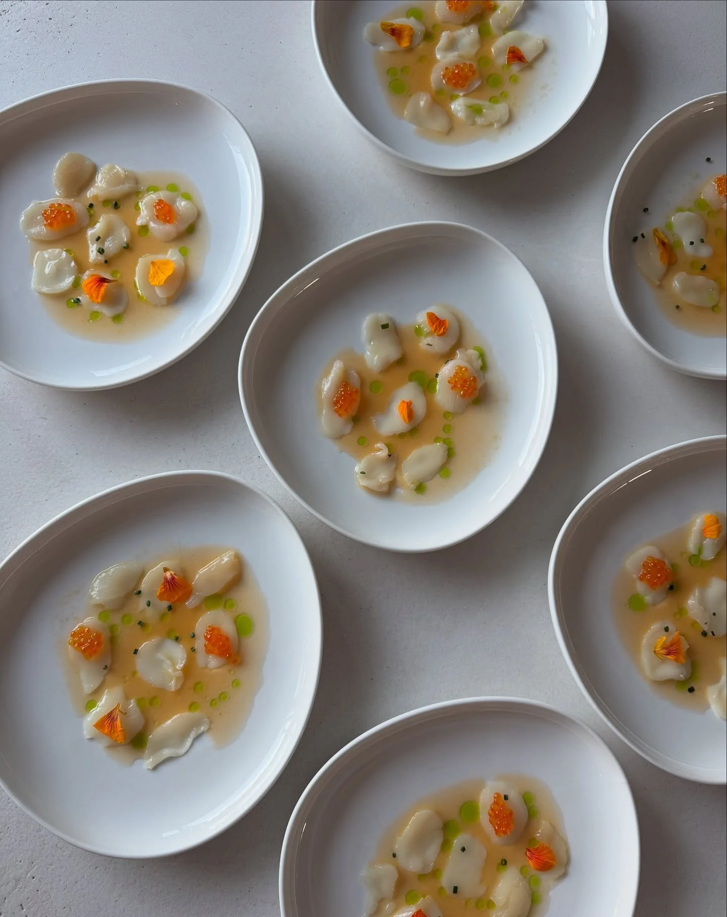Verschillende kleine witte borden met verfijnde coquilledishes gegarneerd met oranje viskuit, eetbare bloemen, groene oliedruppels en zwarte en groene kruiden.