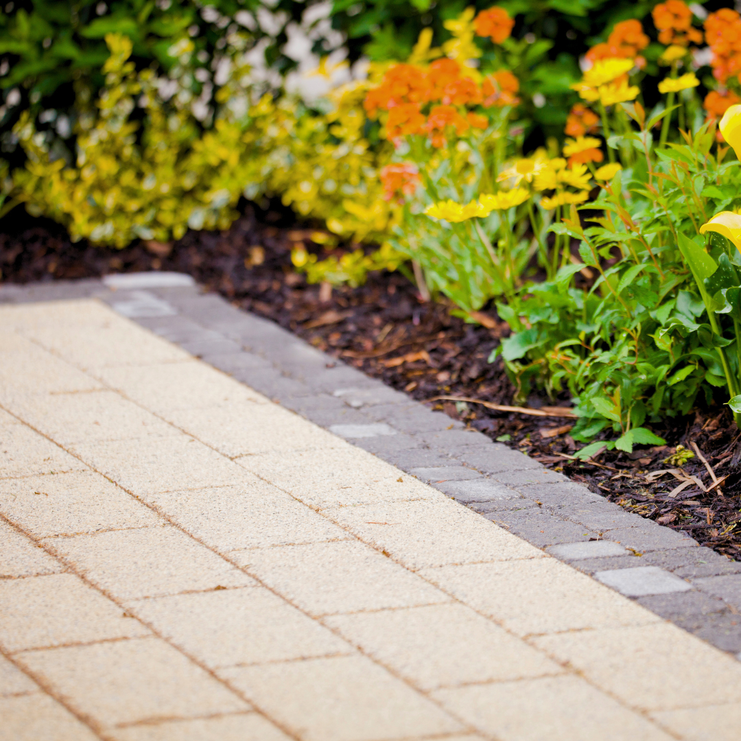 A garden bed with green and yellow plants next to a brick walkway with beige pavers and a gray brick border.