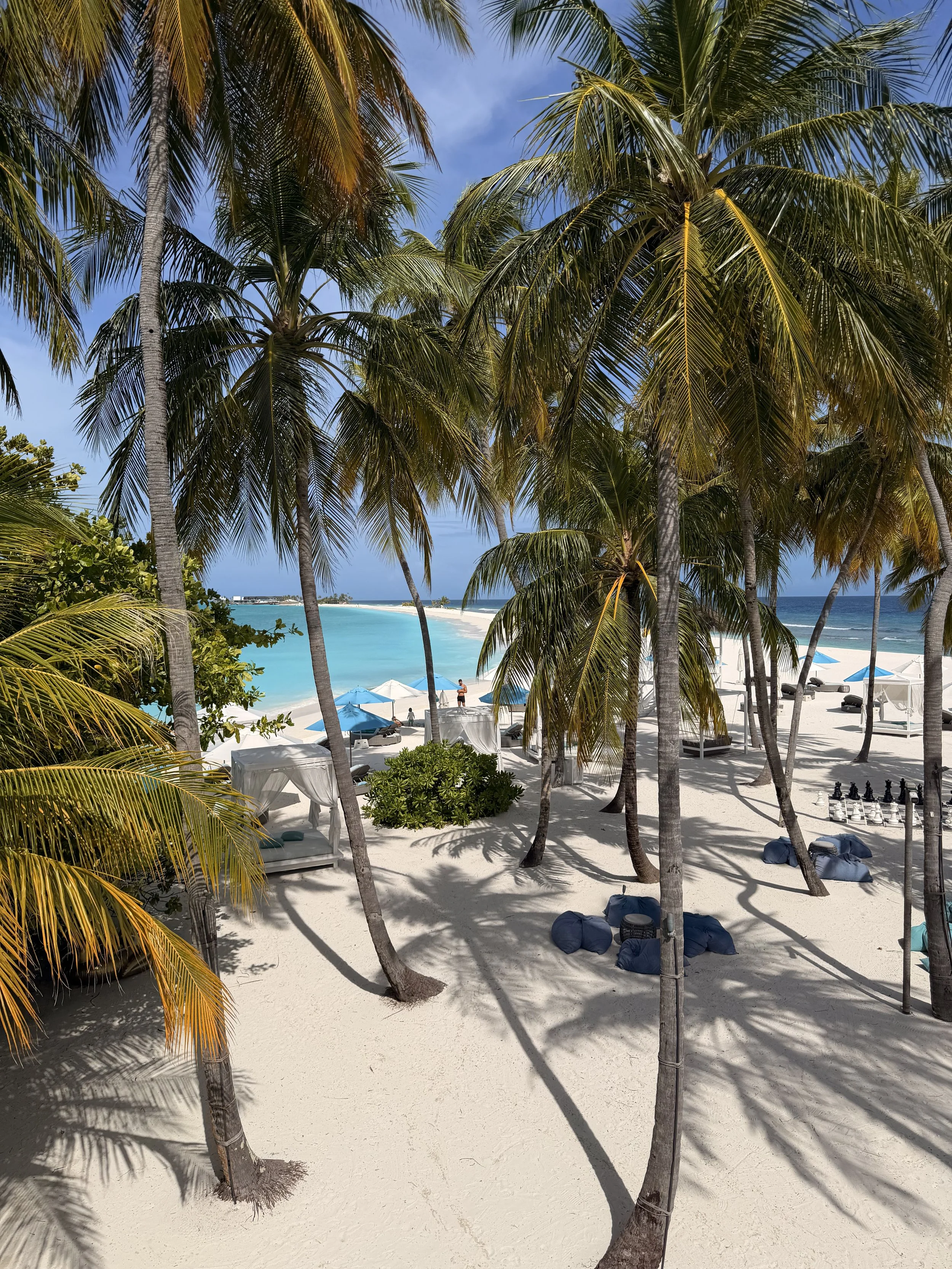 Tropical beach scene with palm trees, white sand, and blue ocean, with beach chairs, umbrellas, and a chess set in the background.