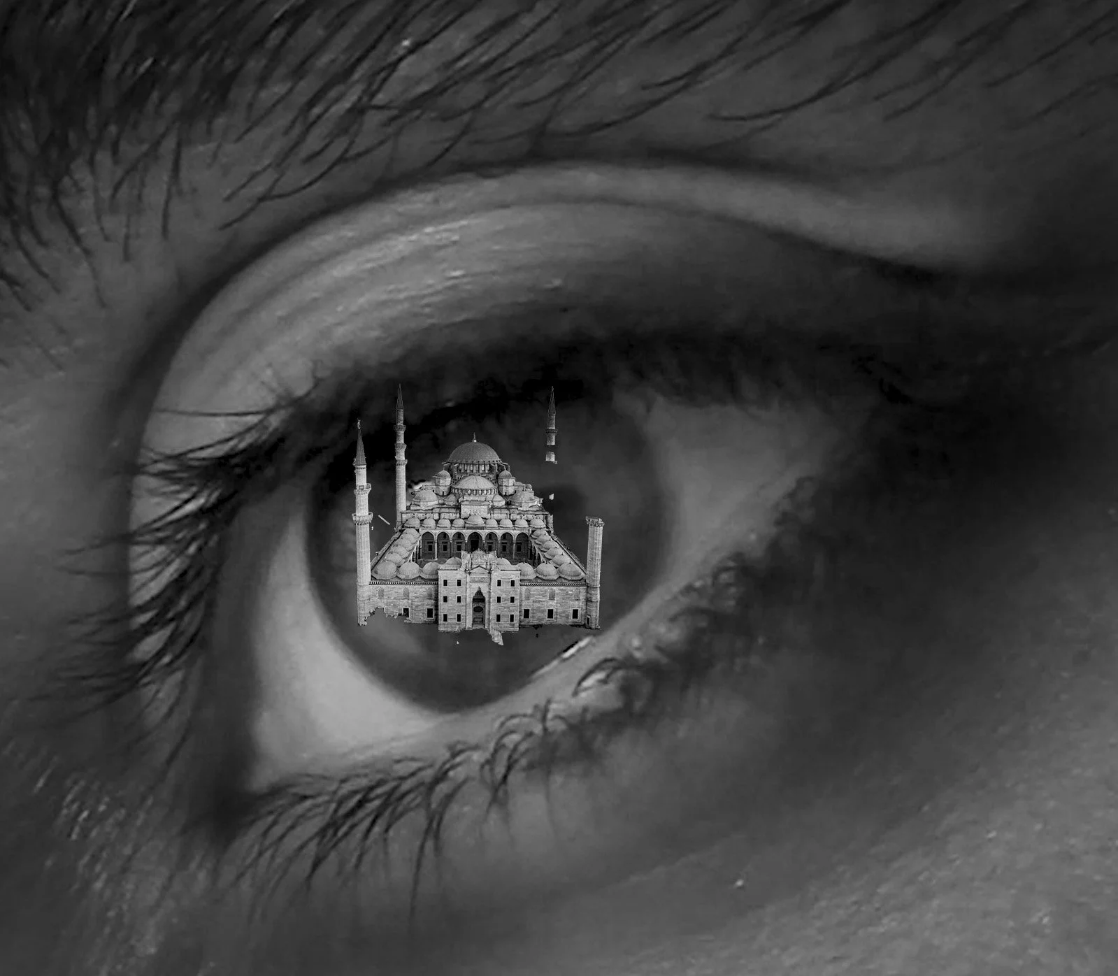 eye_12.jpg