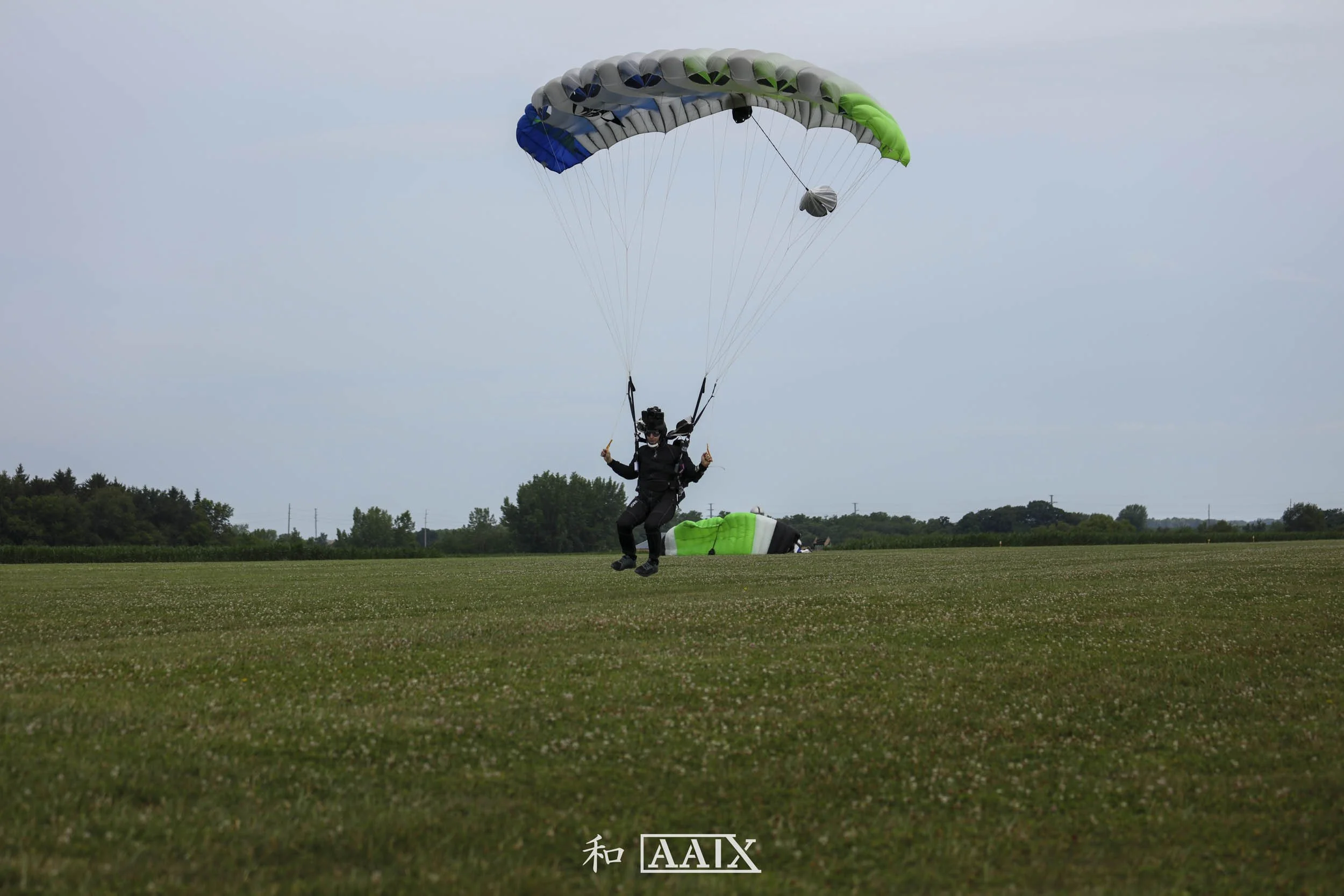 Two skydivers with parachutes preparing for landing on a grassy field, with trees and a cloudy sky in the background.