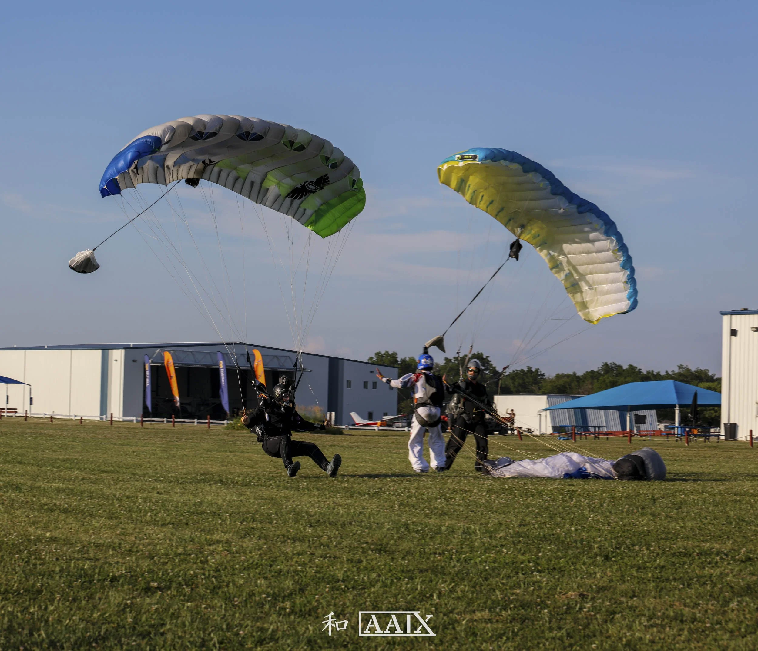 Three skydivers with parachutes landing on a grassy field at an airport, with hangars and buildings in the background.