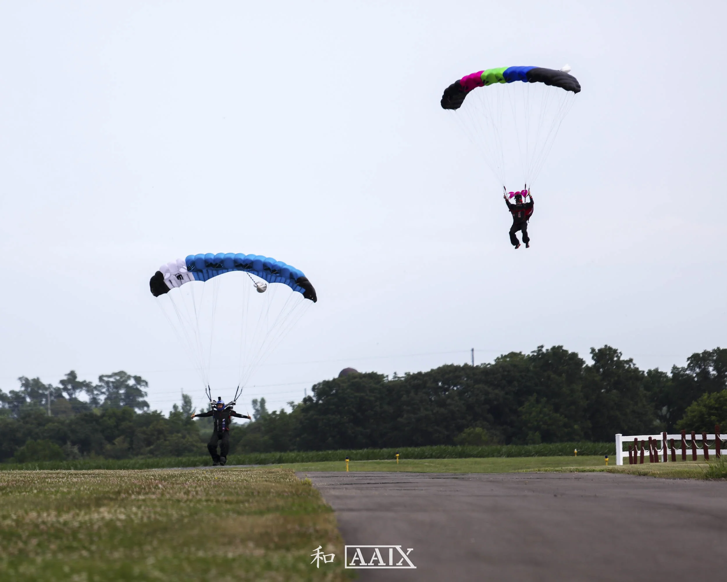 Two skydivers with parachutes descending over a grassy field, with trees in the background and one skydiver closer to the ground and the other higher up in the sky.