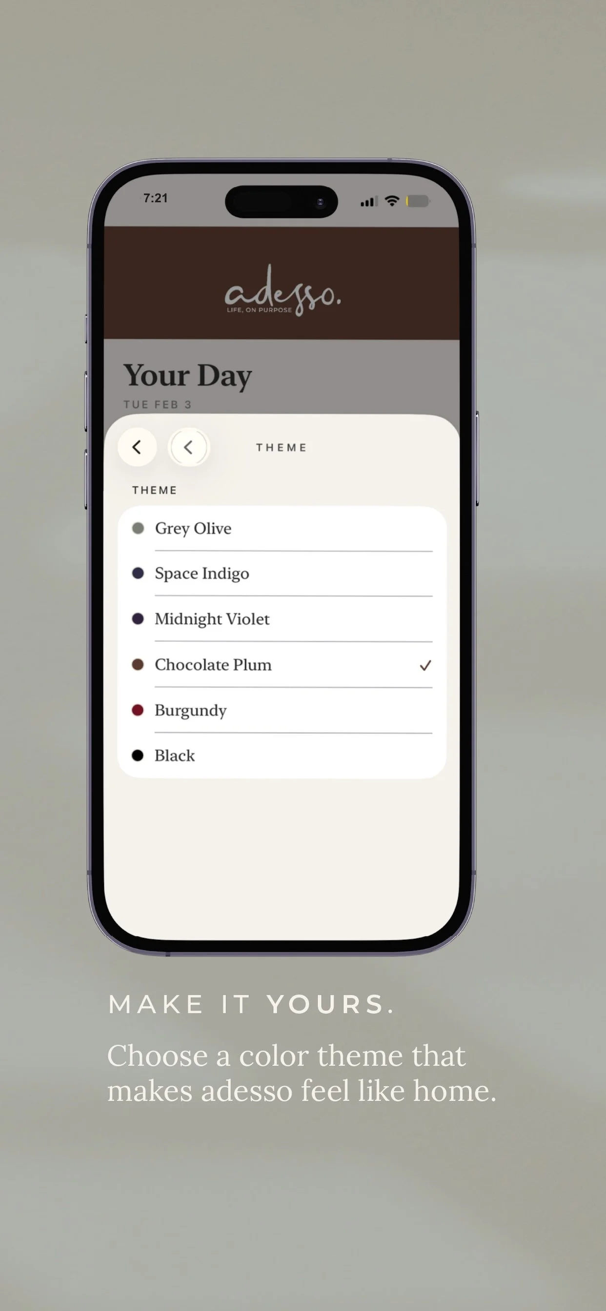 adesso screenshot 7.jpg