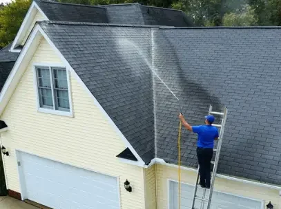 Roof Cleaning