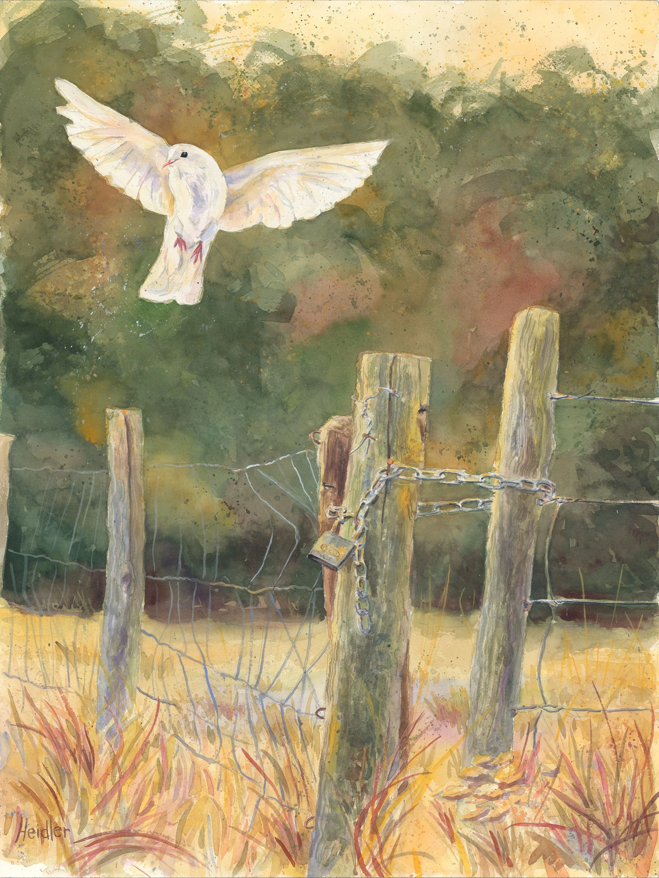 Beyond the Fenced Field.jpg