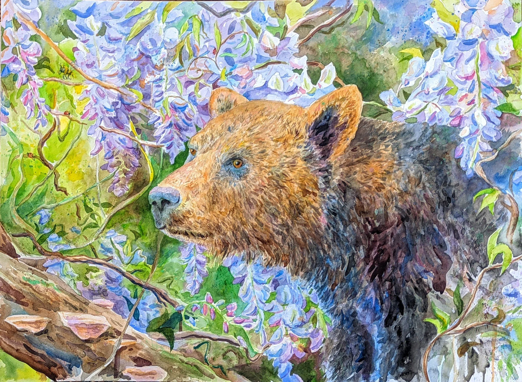 Blue Ridge Bear