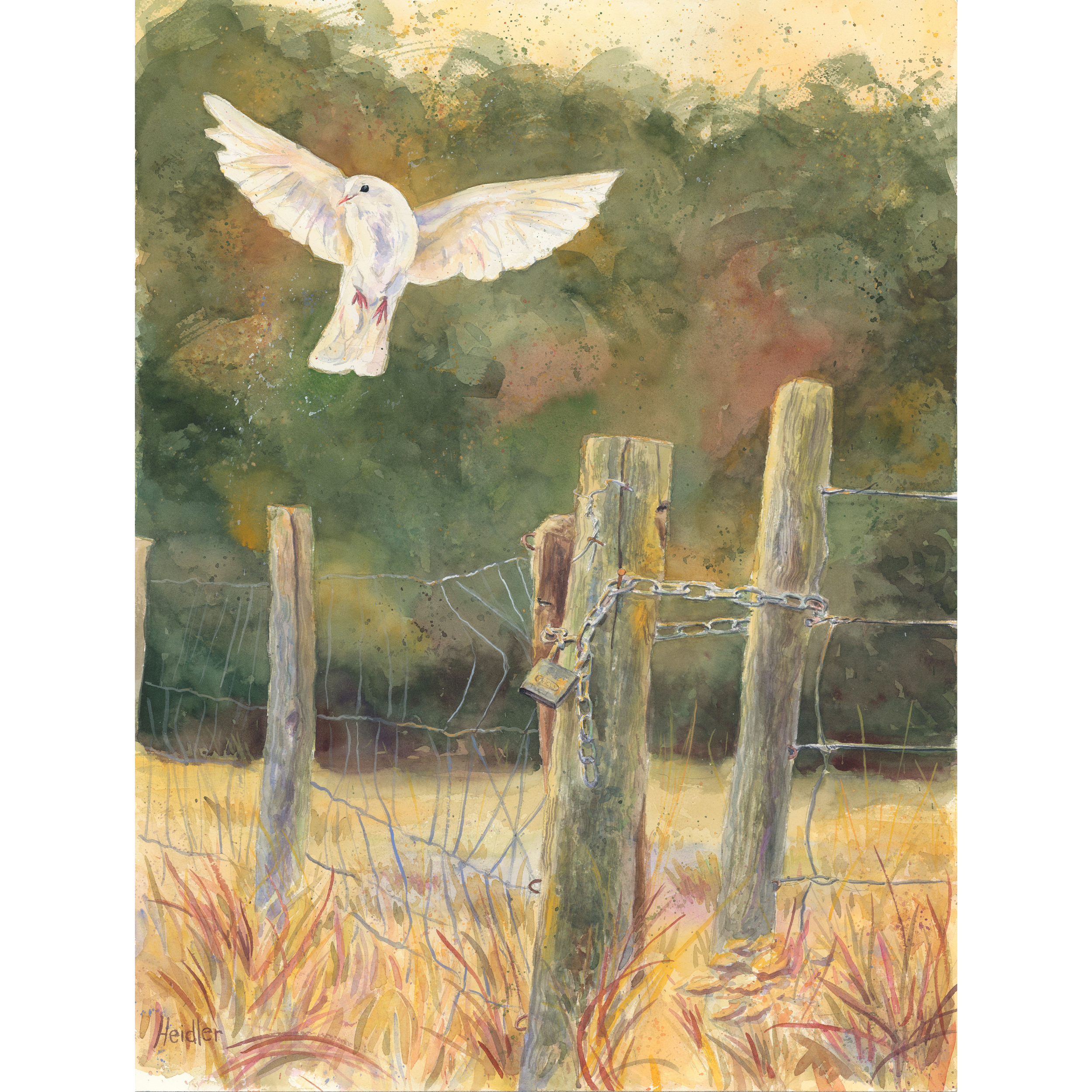 Flying Beyond The Fenced Field