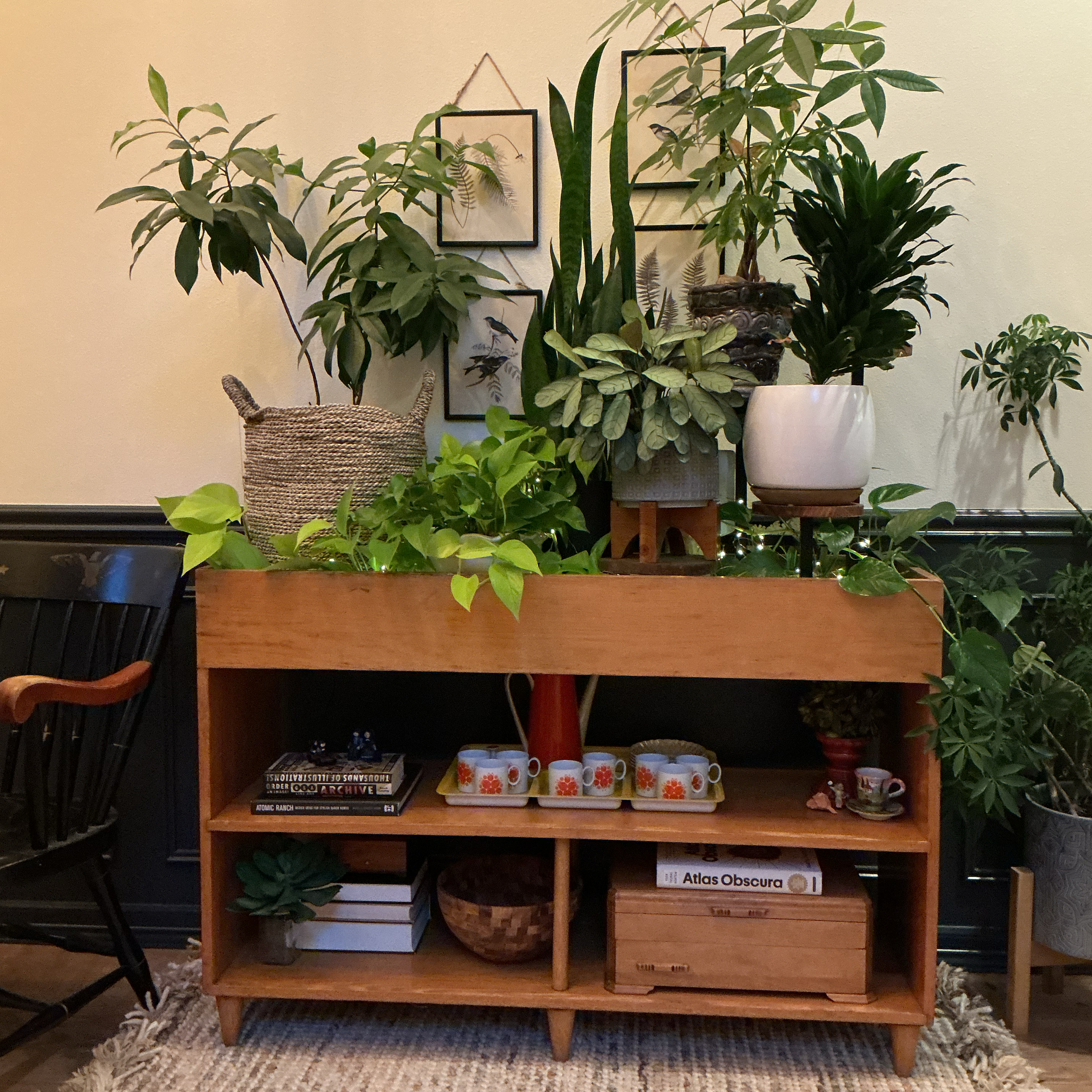 A simple planter became a fun forest