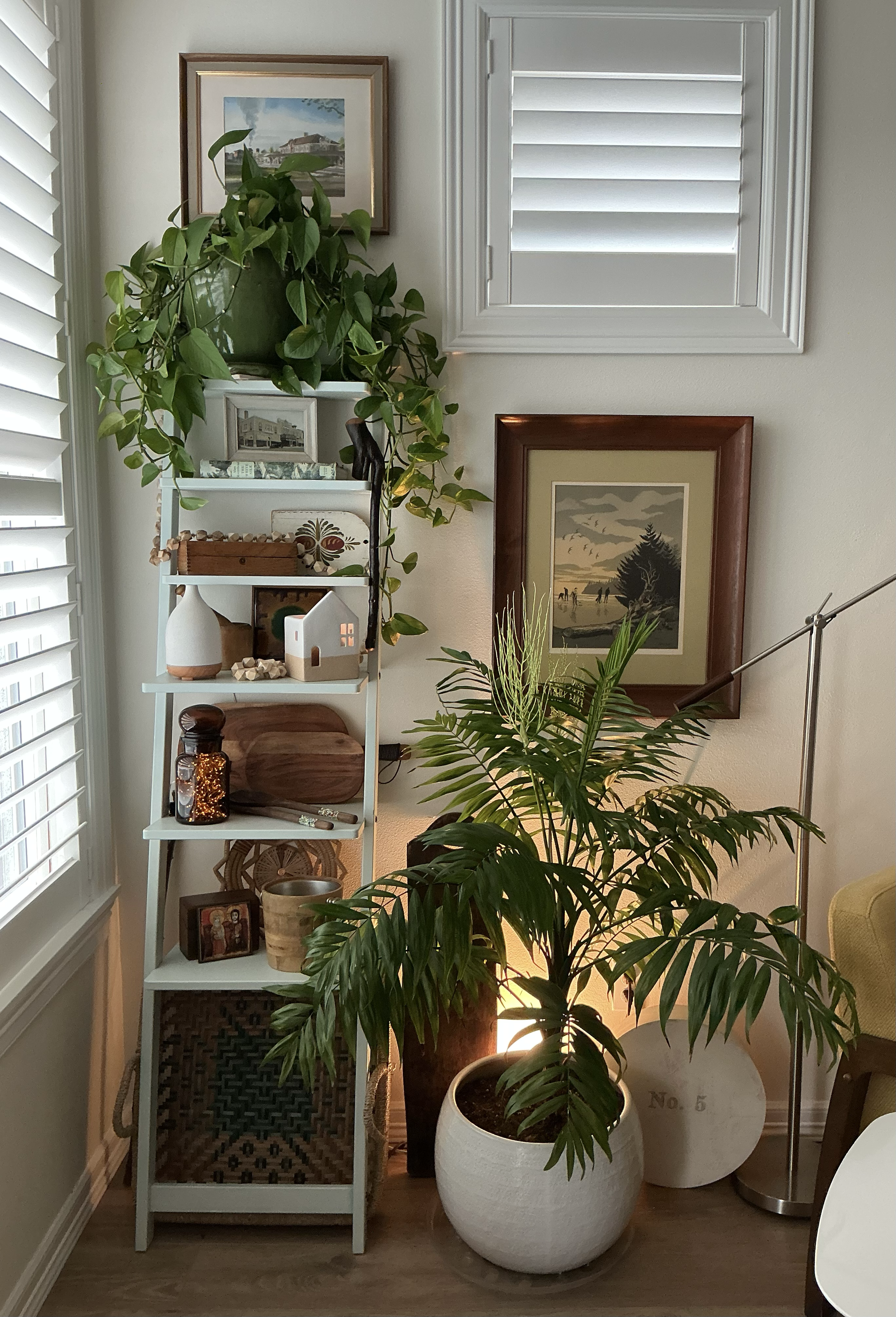 Palms & ivy brought the outdoors in