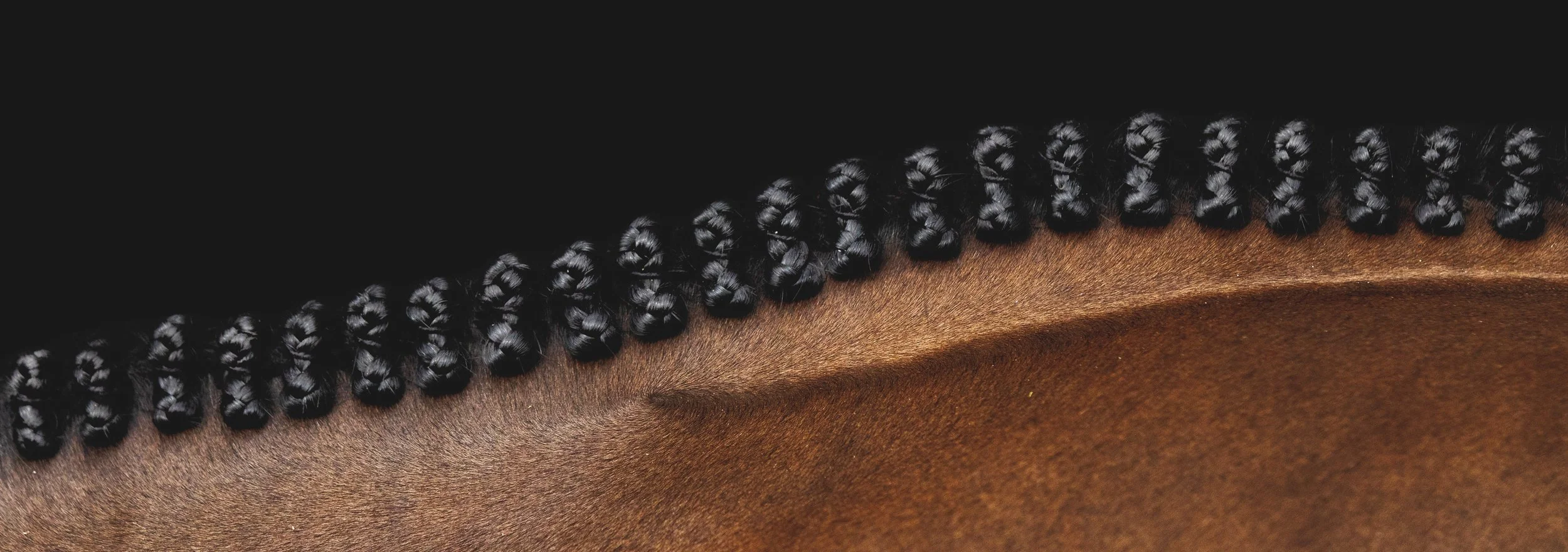 Close-up of a horse's mane with black, tightly curled braids over its brown coat, against a black background.