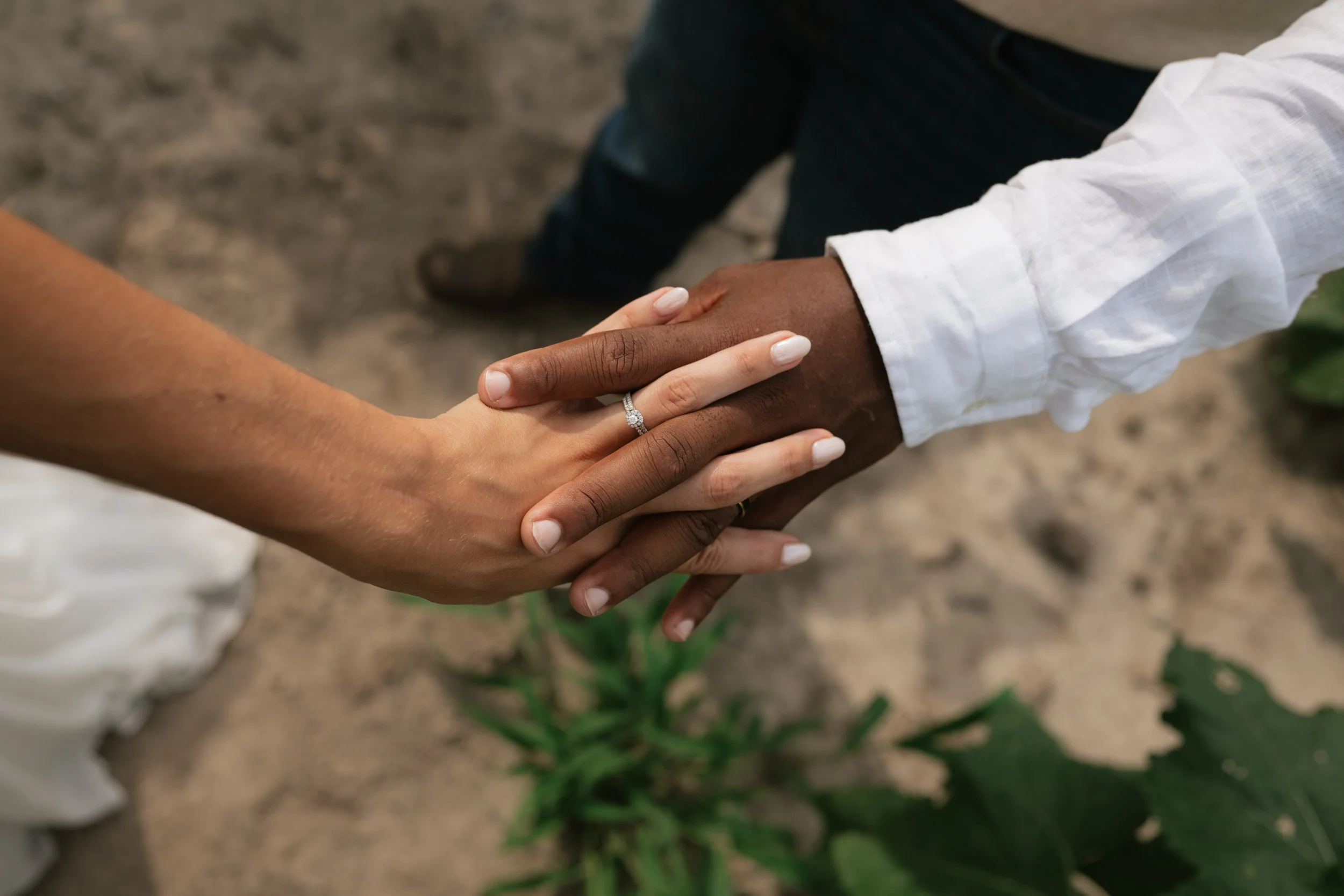 kindred+kin-5173.jpg
