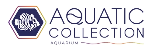 Logo for the Aquatic Collection Aquarium, featuring a fish icon inside a hexagon and stylized text.