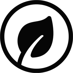 A close-up of a single leaf.