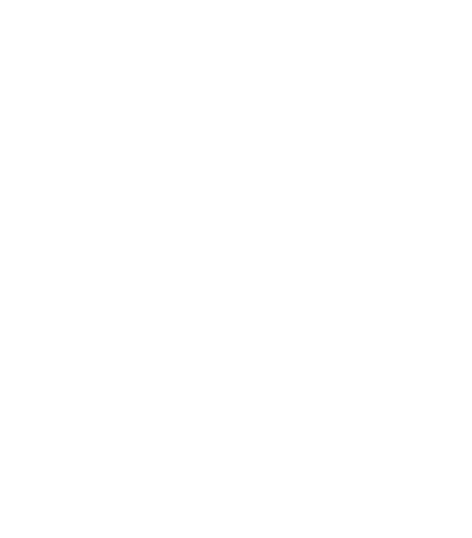 A white oven mitt illustration, with the text "Oodle Poodle" and "Our Story" written in decorative fonts on a black background.