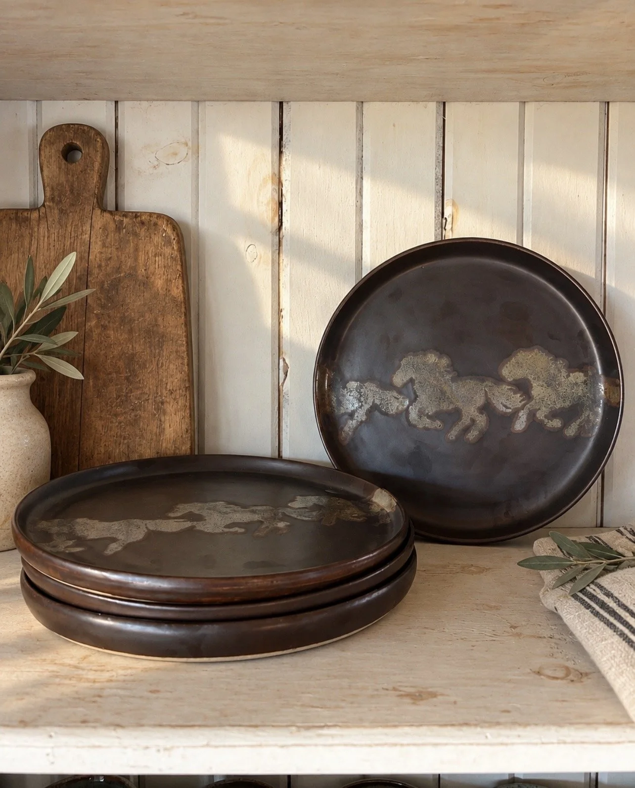 4-Piece Dinner Plate Set