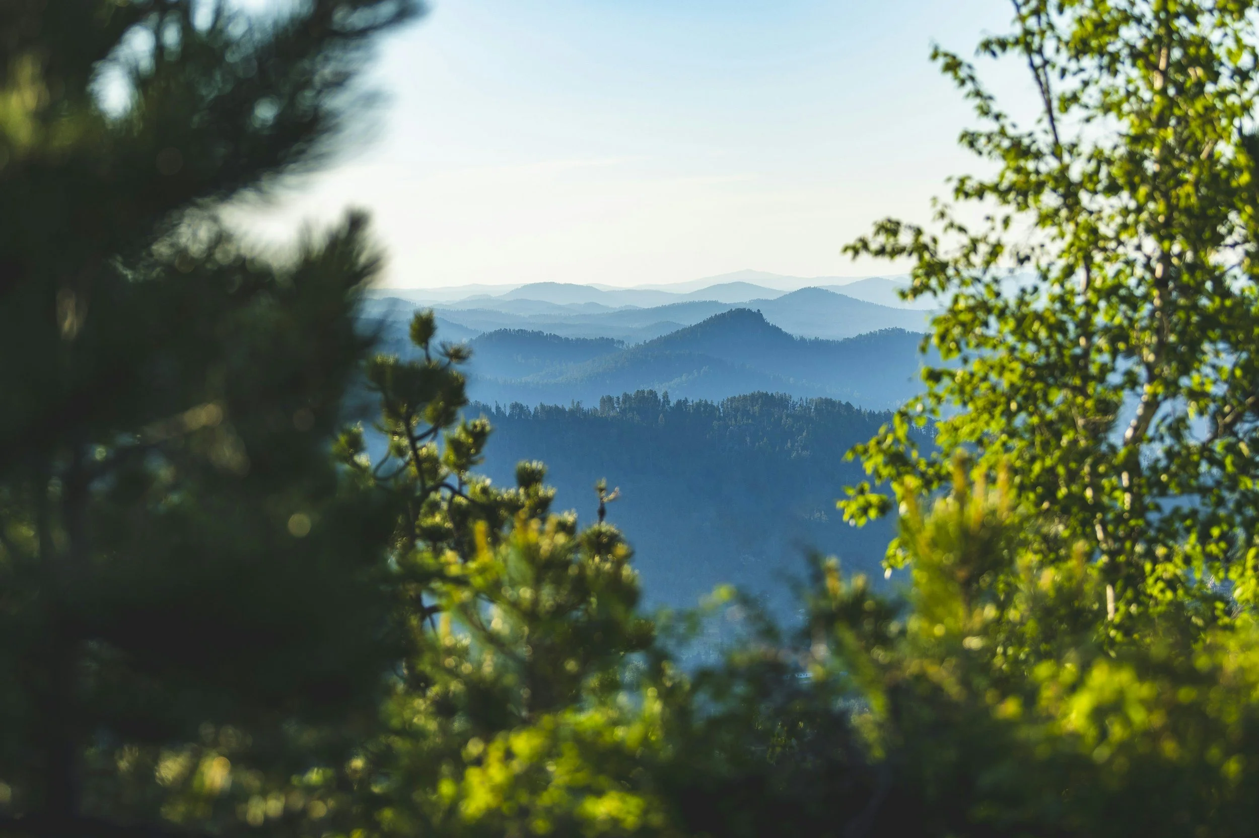 A scenic view of multiple layers of blue mountain ridges framed by green trees and foliage, with a clear sky in the background.