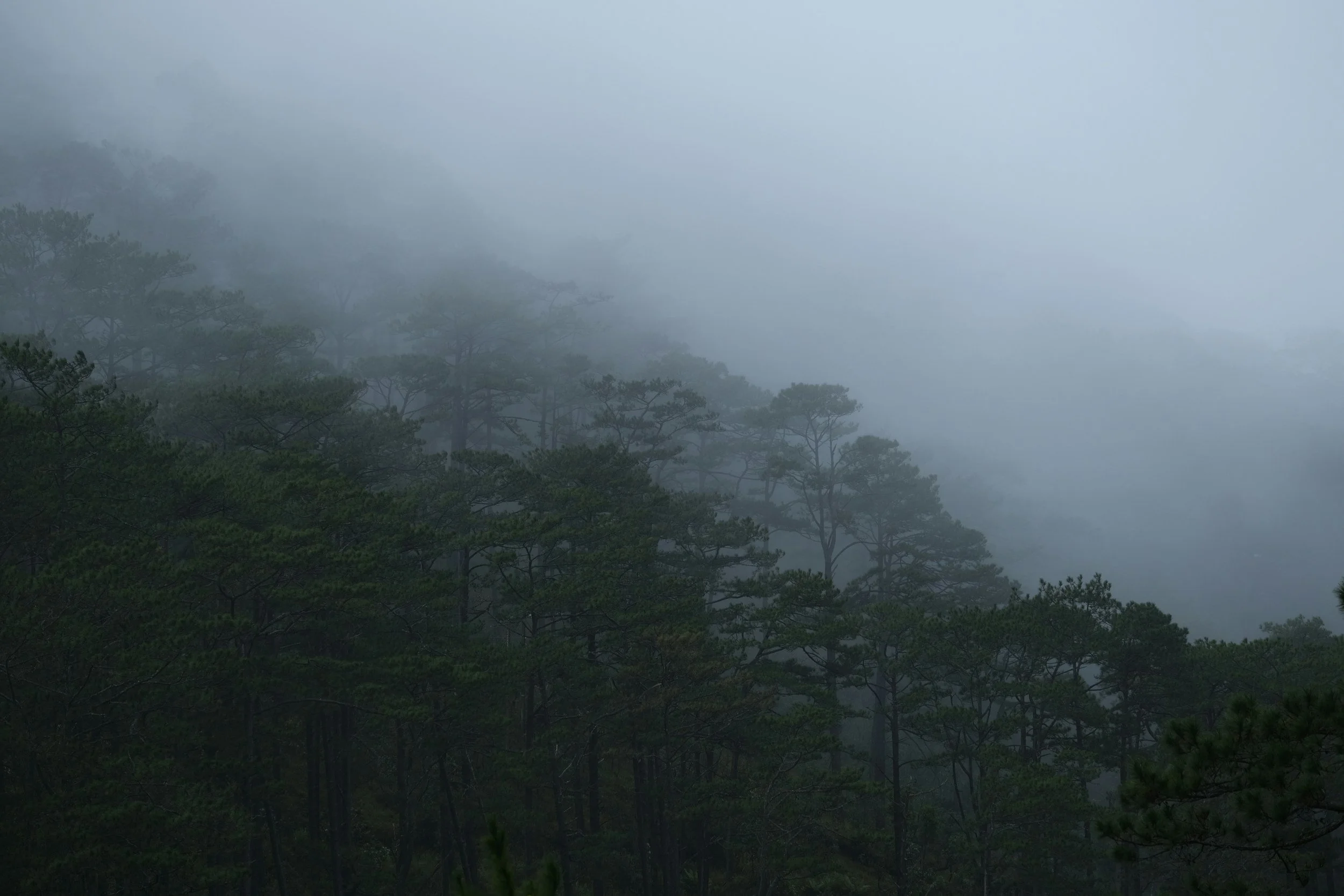 unsplash-image-igyVVC6uHJs.jpg