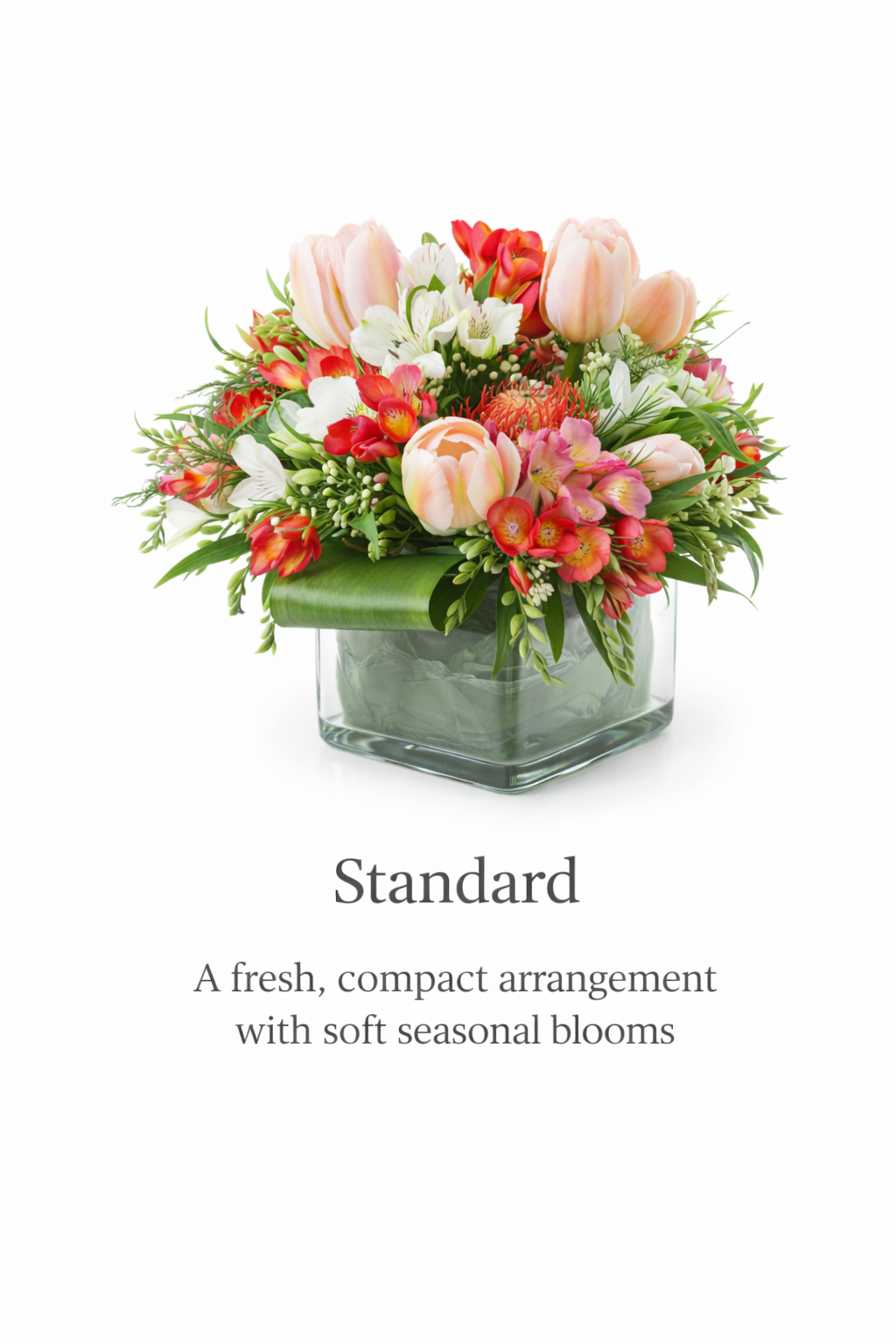 valteos flowers and gifts+arrangement+fresh flowers+freesia+alstroemeria+protea+el paso+texas+new mexico.png