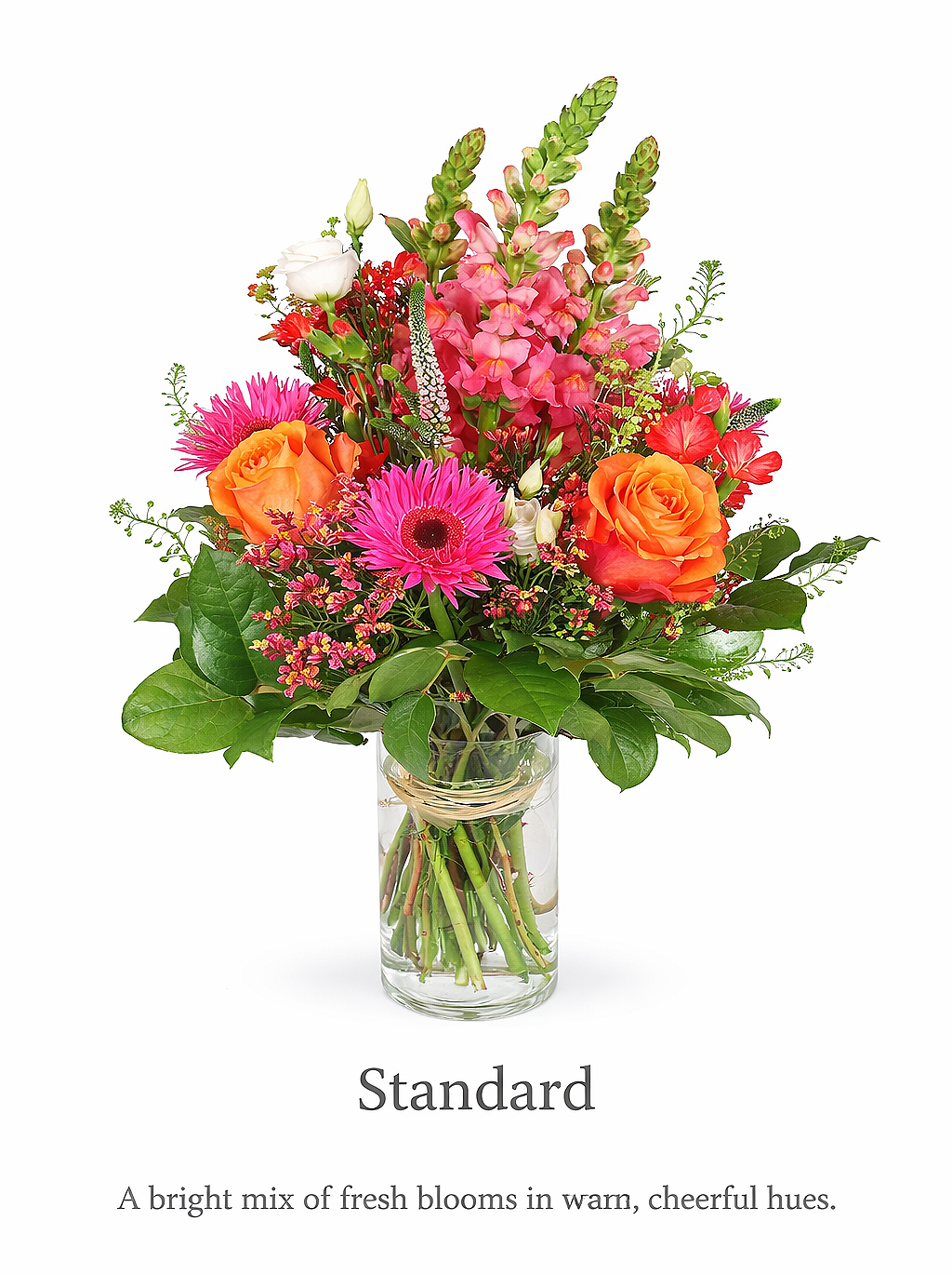 valteos flowers and gifts+Arrangement+radiant celebration bouquet+roses+gerberas+snapdragons