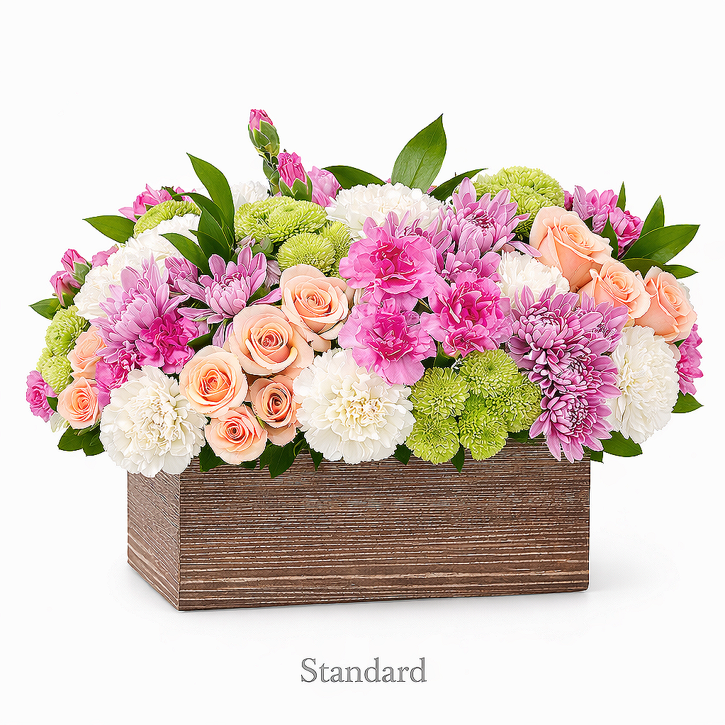 valteos flowers and gifts+arrangement+desert charm+pink+white+peach+carnations+roses+green button mums+chrysanthemums