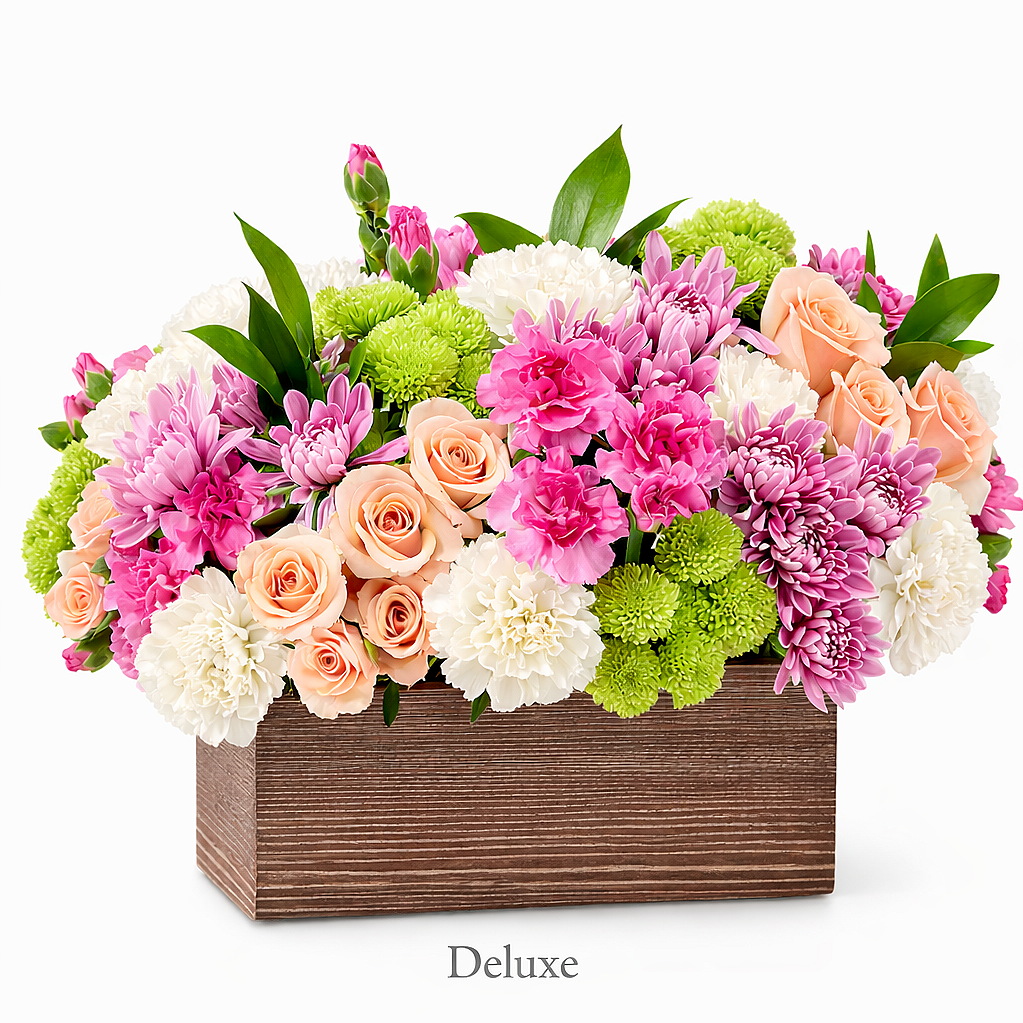 valteos flowers and gifts+arrangement+desert charm+pink+white+peach+carnations+roses+green button mums+chrysanthemums